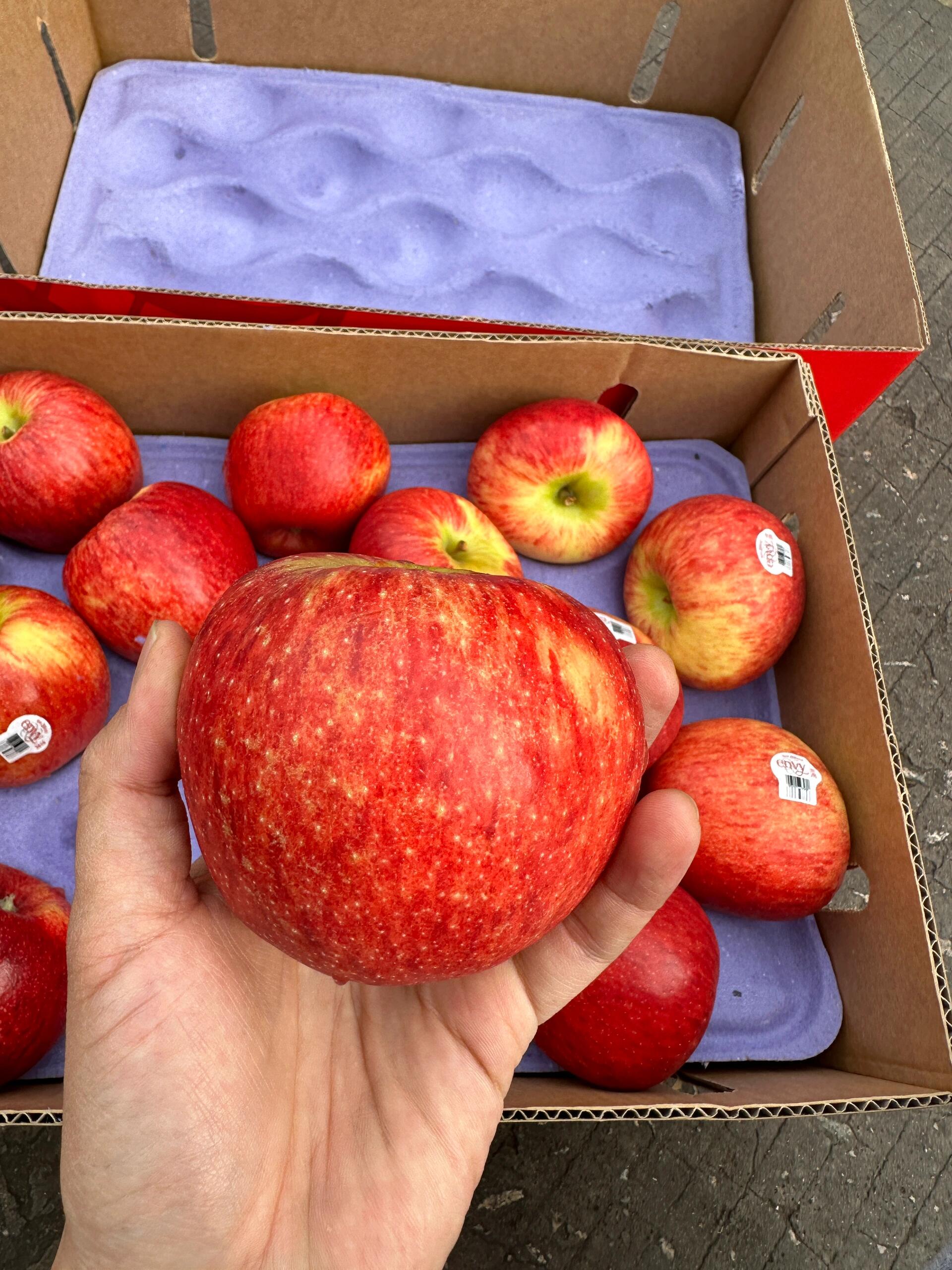 爱妃苹果🍎，非你莫属💌 品尝第一口的那一 配图1