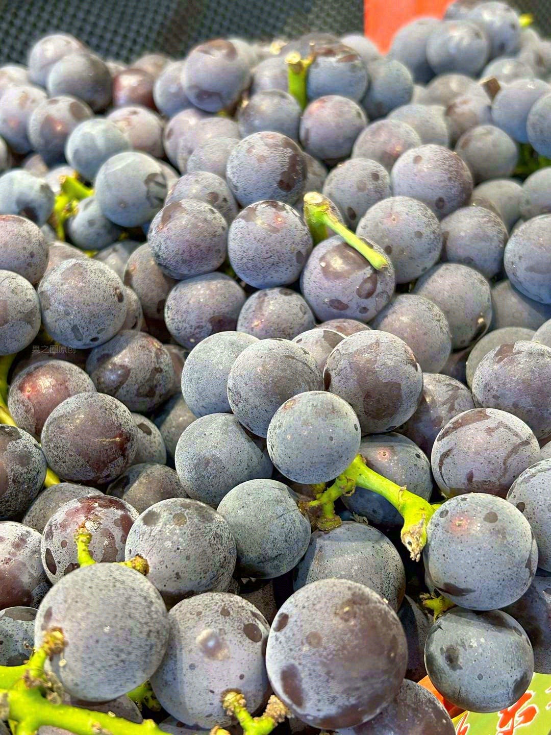 一份坚守的味道🙋 一份淳朴的葡萄香🍇 葡 配图2