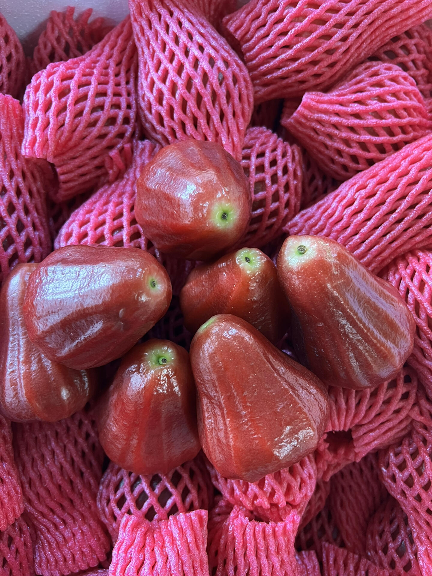 💧 莲雾！ 💦 台湾黑金刚，水分炸弹 💣 配图3