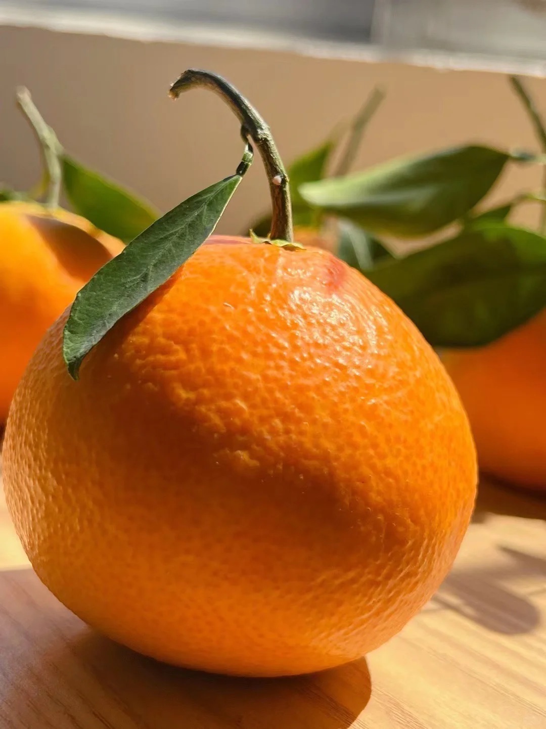 🍭🍭『爱媛果冻橙』🍊到货！ 😋补充维C必 配图3