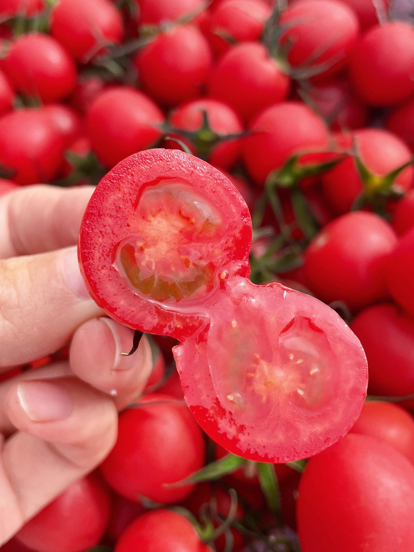 🍅电白千禧真的是一口一个的幸福感🎊 清香 配图1