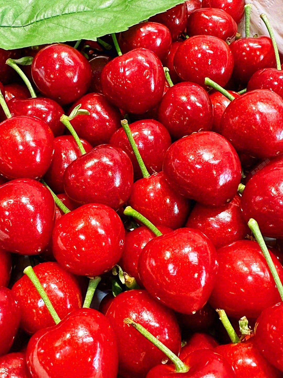 脆甜可口的第一好吃的🍀美早樱桃🍒 只为懂 配图3