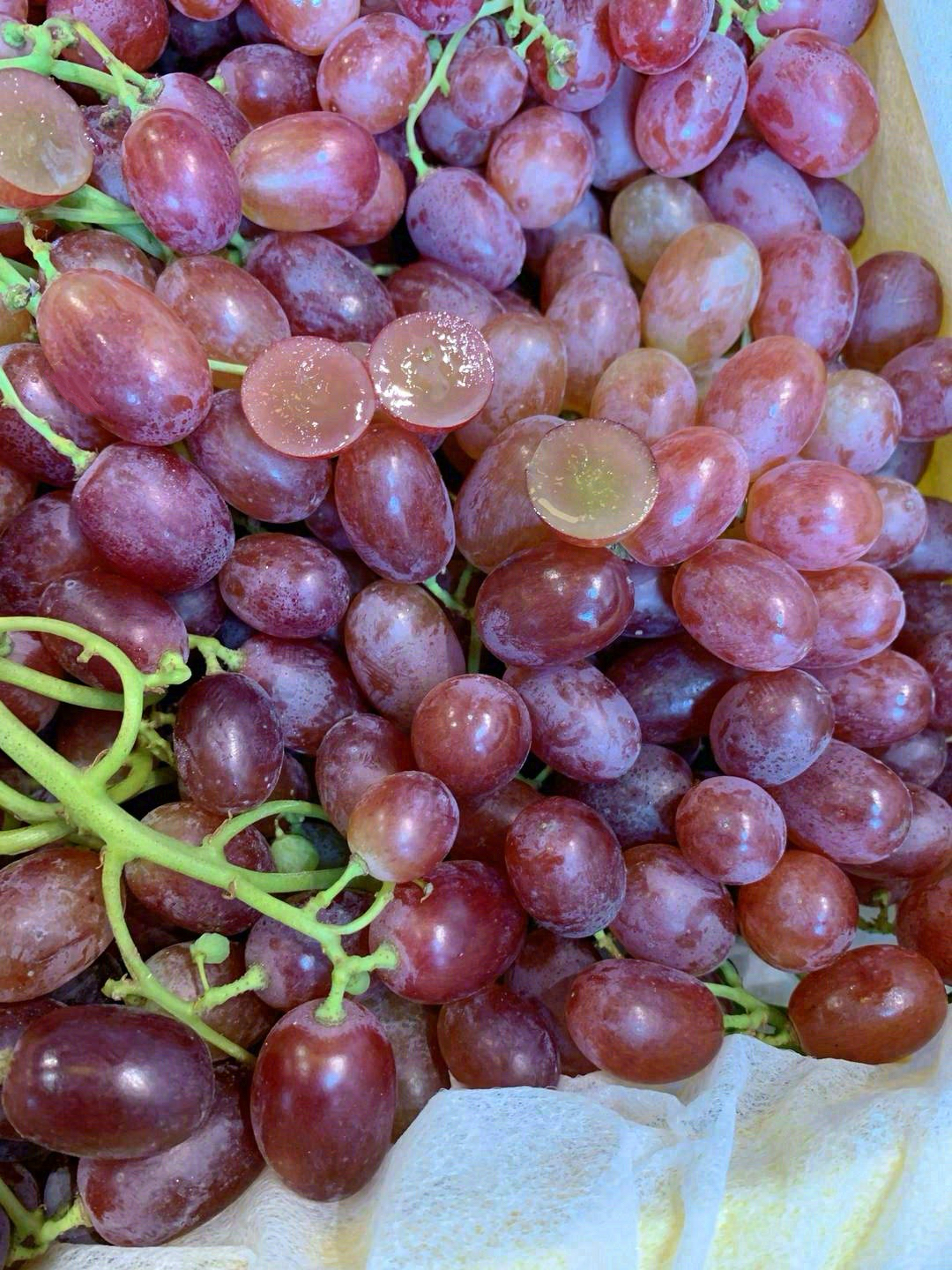 🍇克伦生红提，皮薄无核，个头如拇指般大👍 配图2