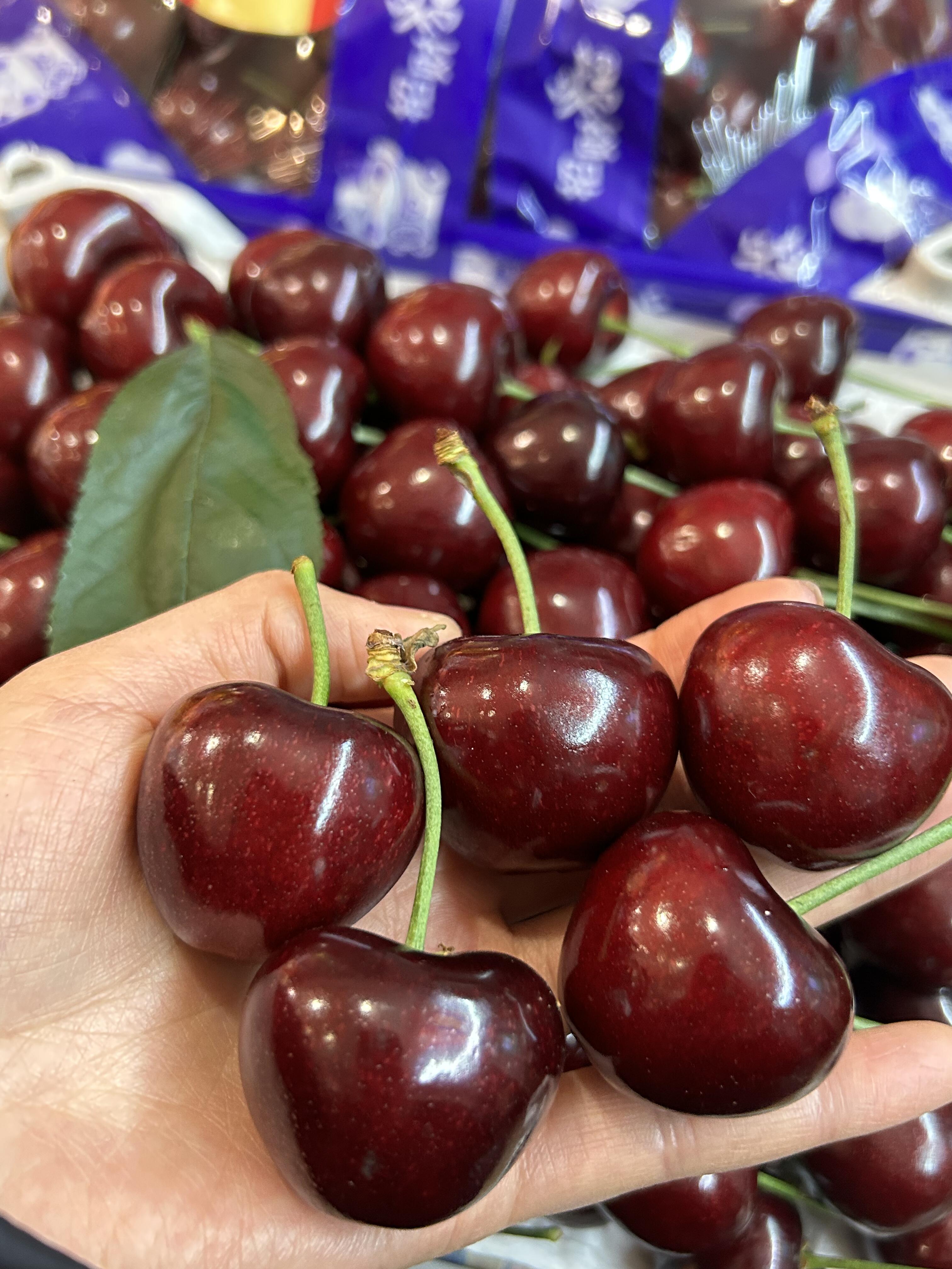 一颗沾着清晨露水的樱桃🍒 一口咬下去，酸 配图1