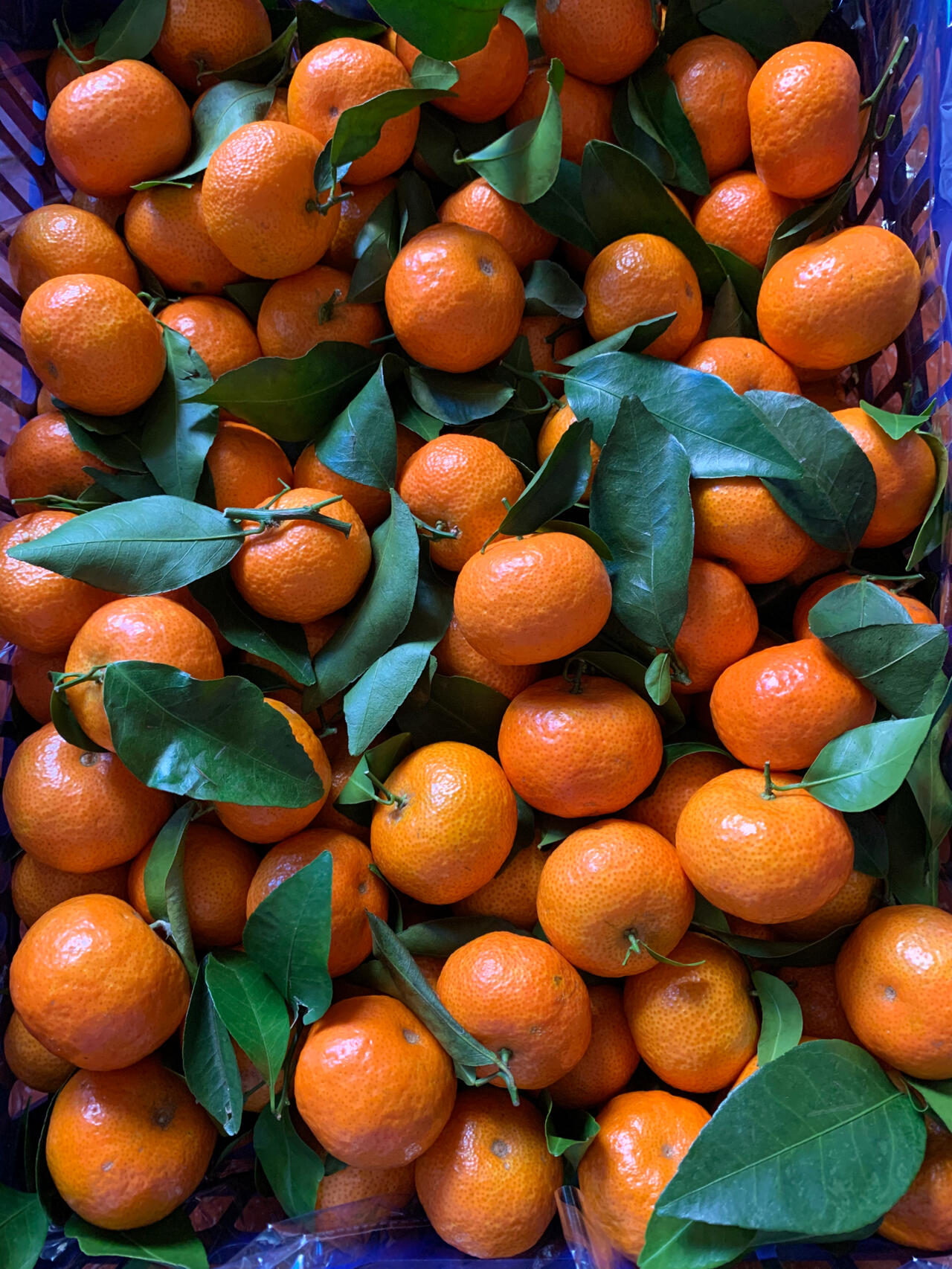 天然甜蜜的砂糖橘🍊上线啦～ 果皮薄如纸， 配图3