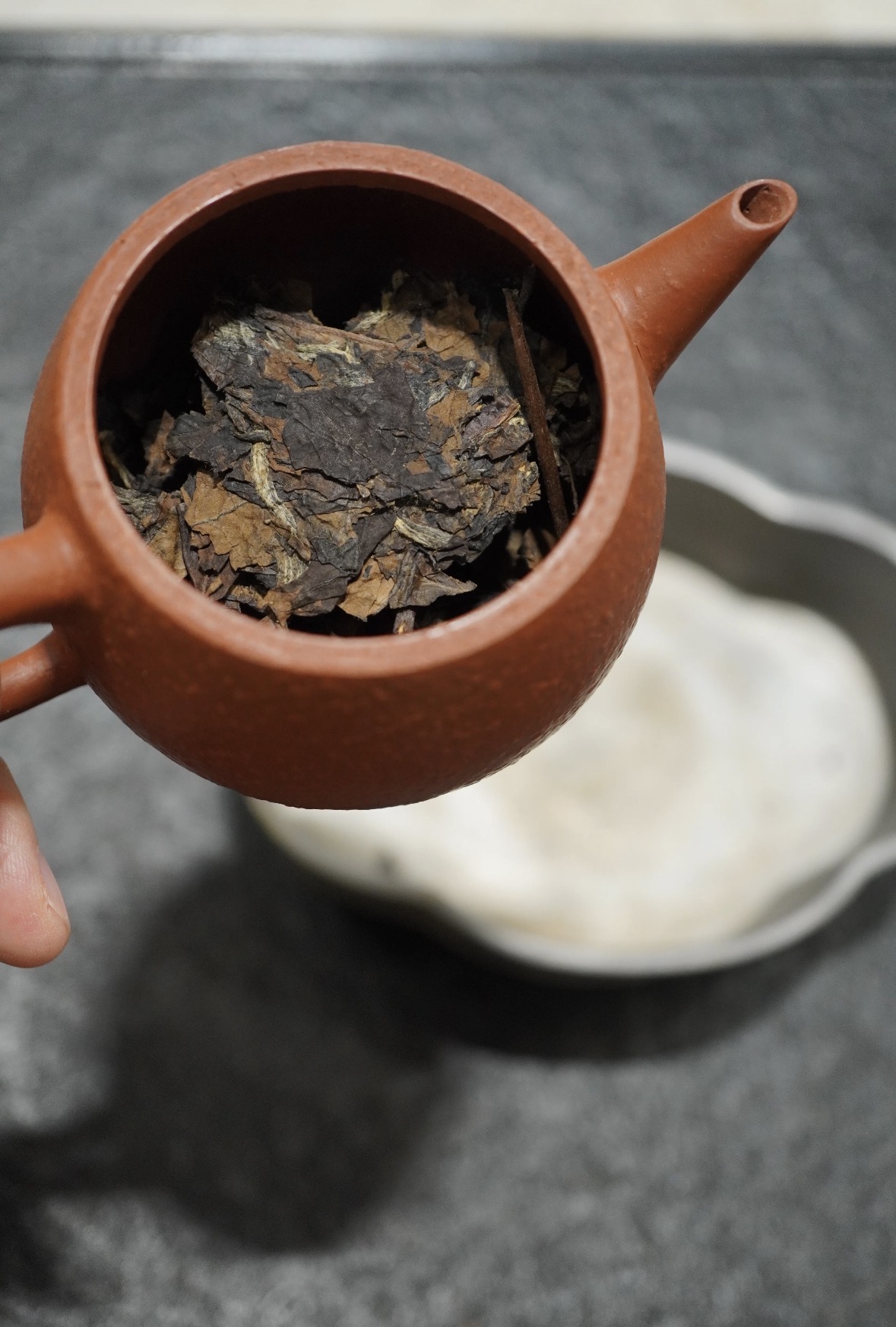 马年春茶上新，寿眉鲜爽登场，囤茶好时机， 配图2