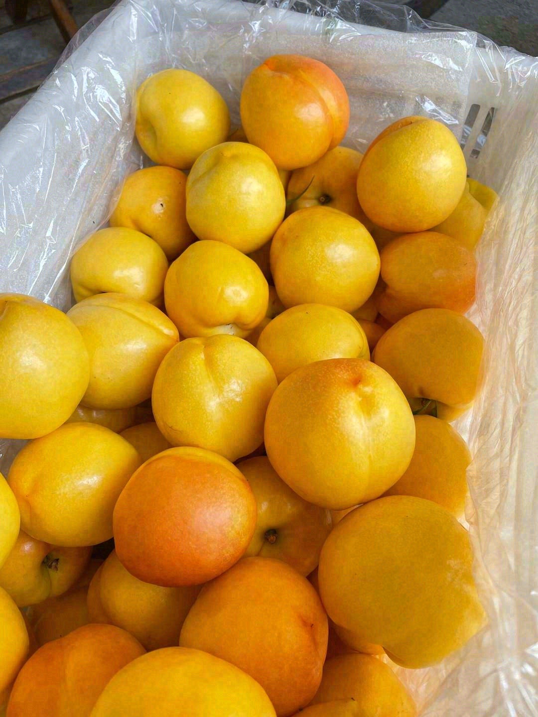 生活的甜水果来承包✅️ 疲惫赶跑🍃快乐加满💚 一口水果🍏一口 配图5