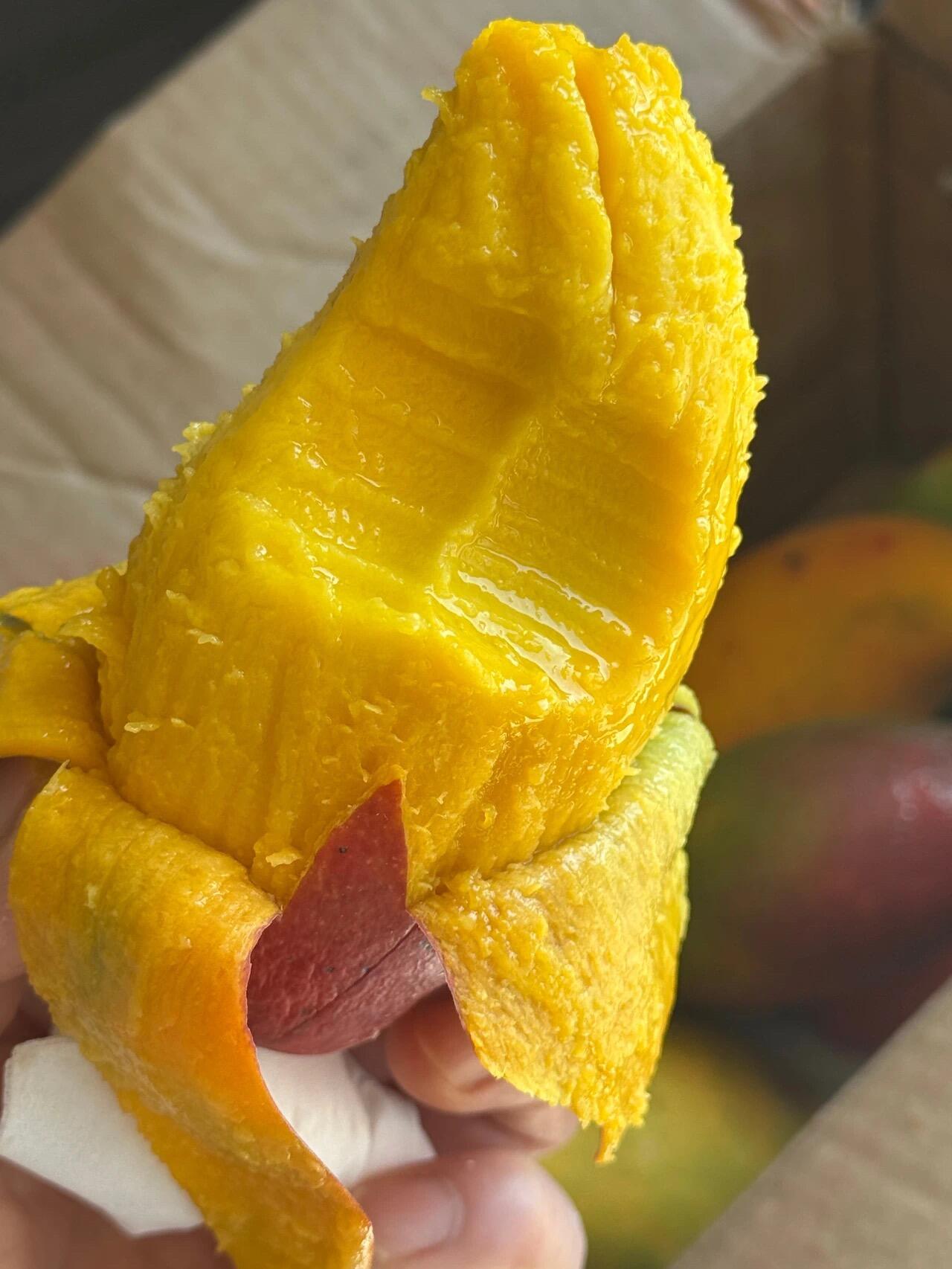 不食贵妃芒🥭🥭，怎知“贵妃”美🔥 有一种 配图2