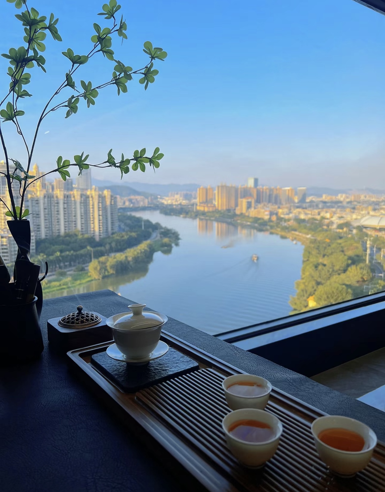 茶韵悠悠，心静如水🌼 品味生活，从一杯茶 配图2