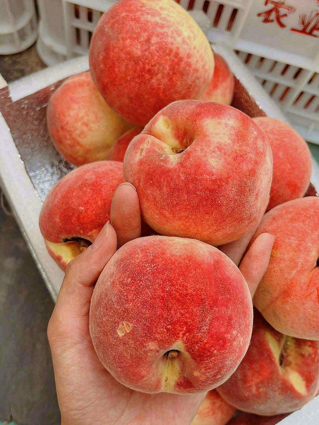 脆甜如蜜🍯，“桃”醉金秋🍑！ 金秋红蜜到 配图1