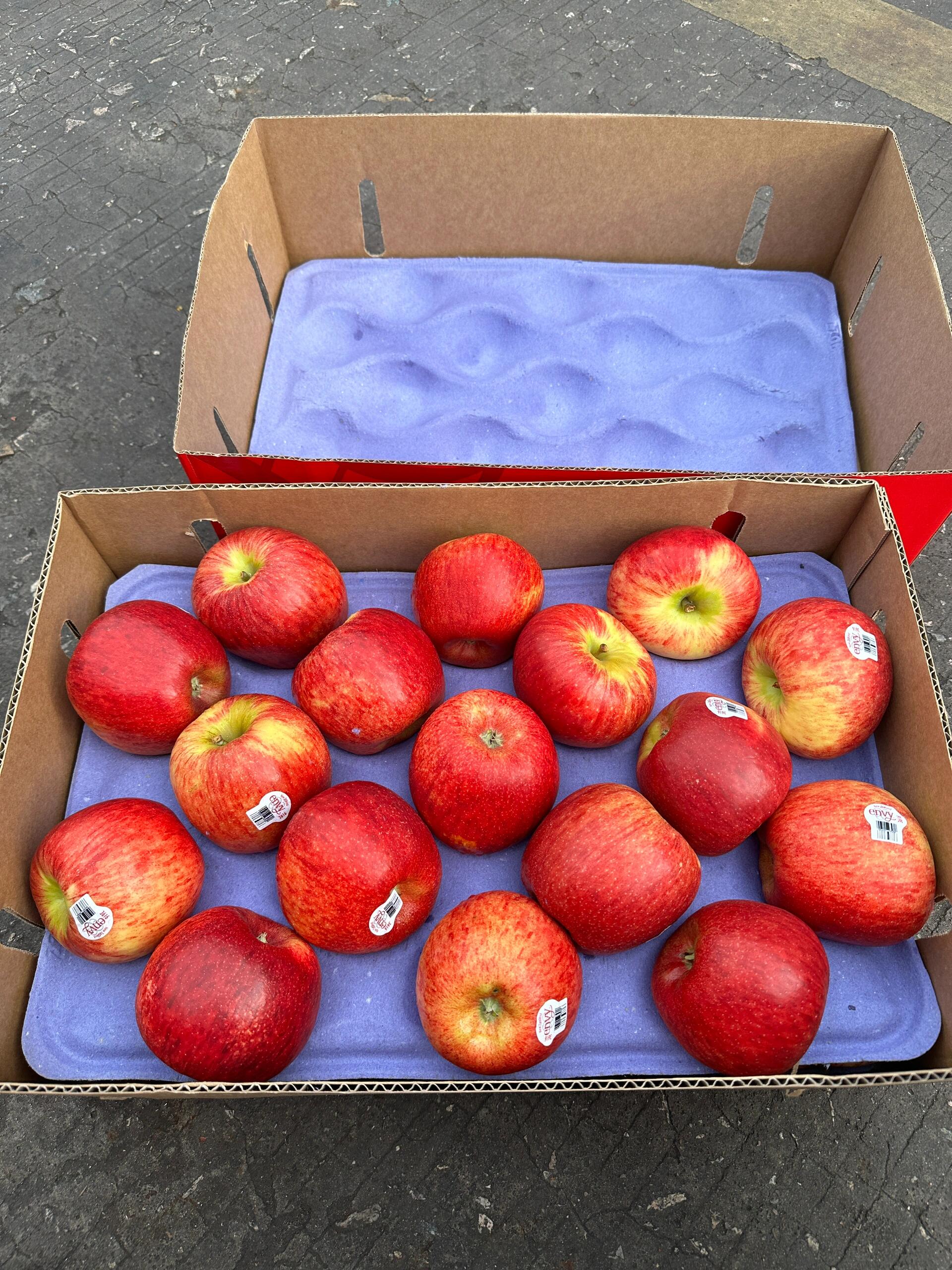 爱妃苹果🍎，非你莫属💌 品尝第一口的那一 配图3