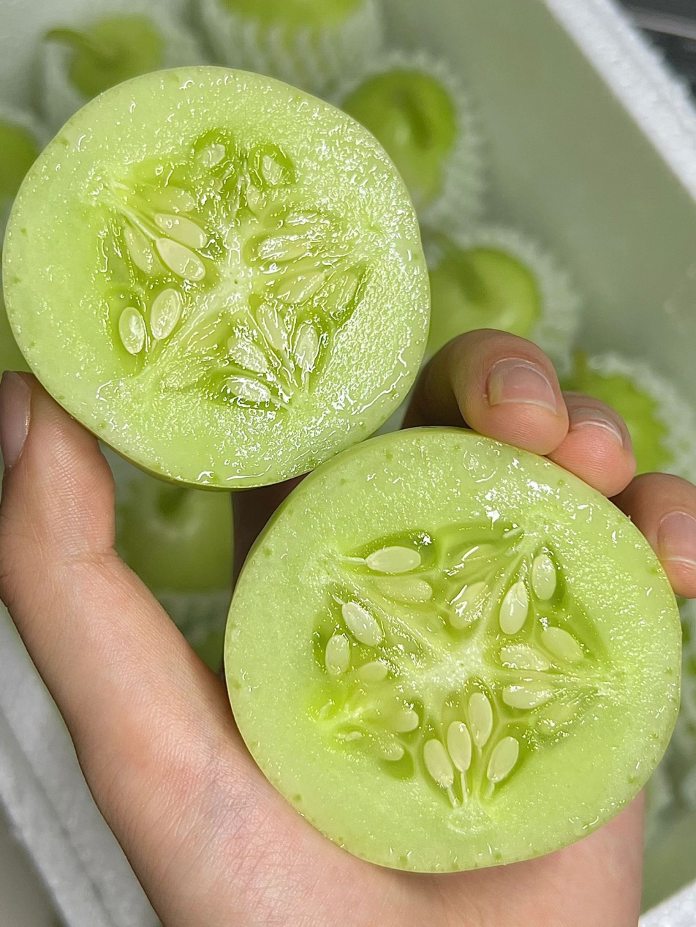 玉女黄瓜🍃可爱胖墩墩的椭圆形🥒 因为品种 配图1