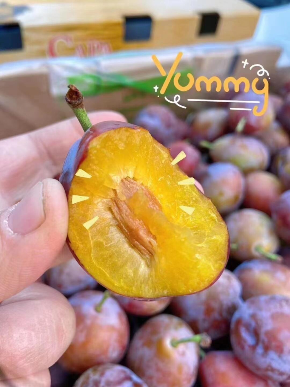 😍大餐后整点西梅清清肠道颗颗果粉十足👏个 配图1