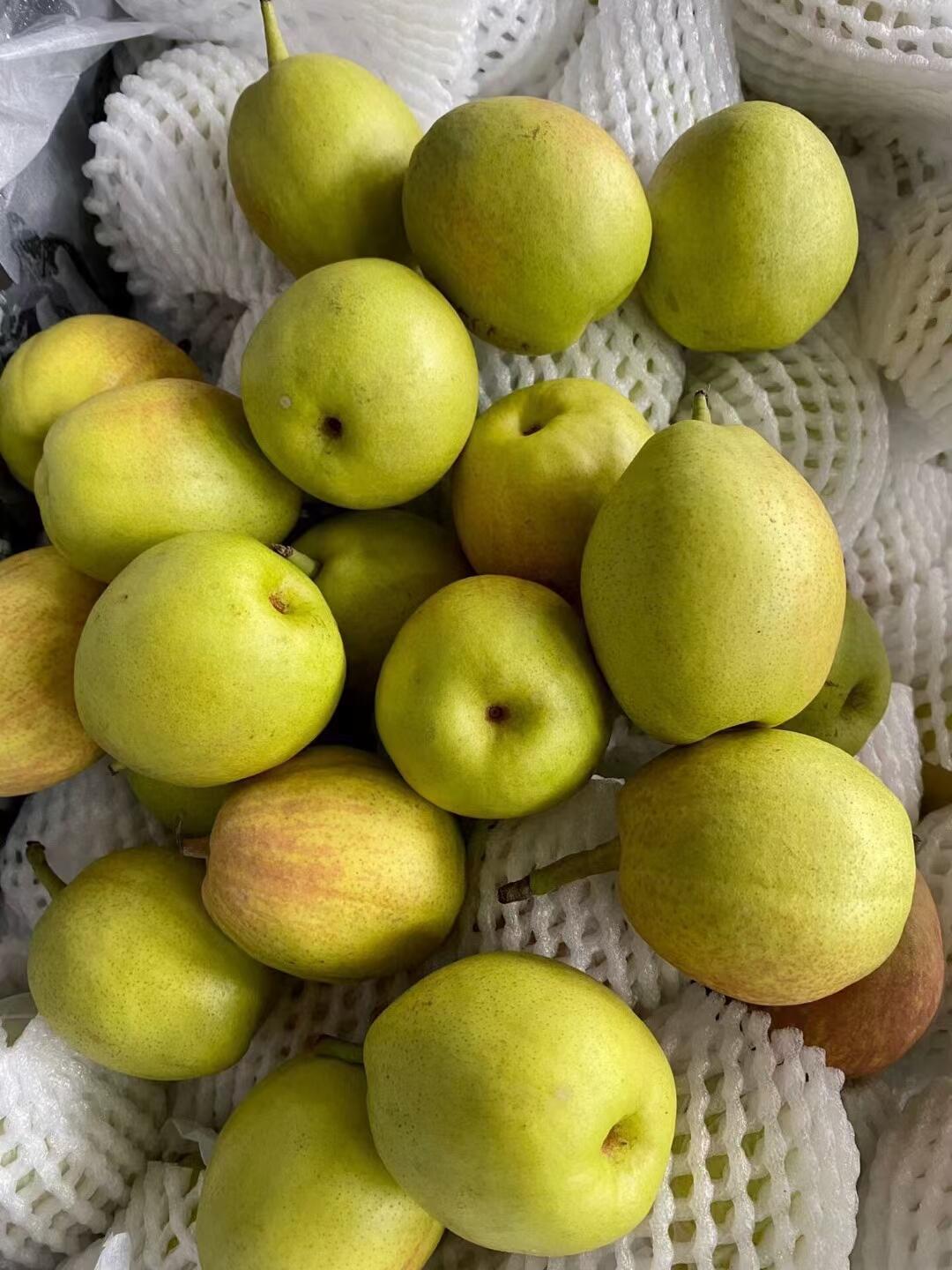 🍐库尔勒香梨上线！ 咬一口脆爽多汁，水分 配图3