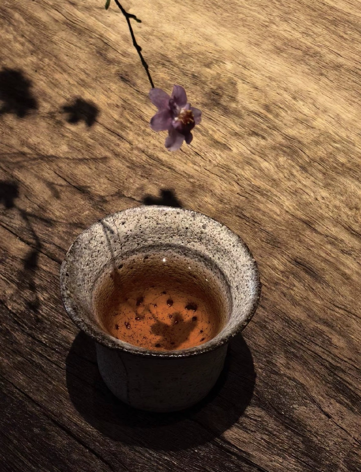 红茶茶语: 温暖随和易相处 世间最温柔的