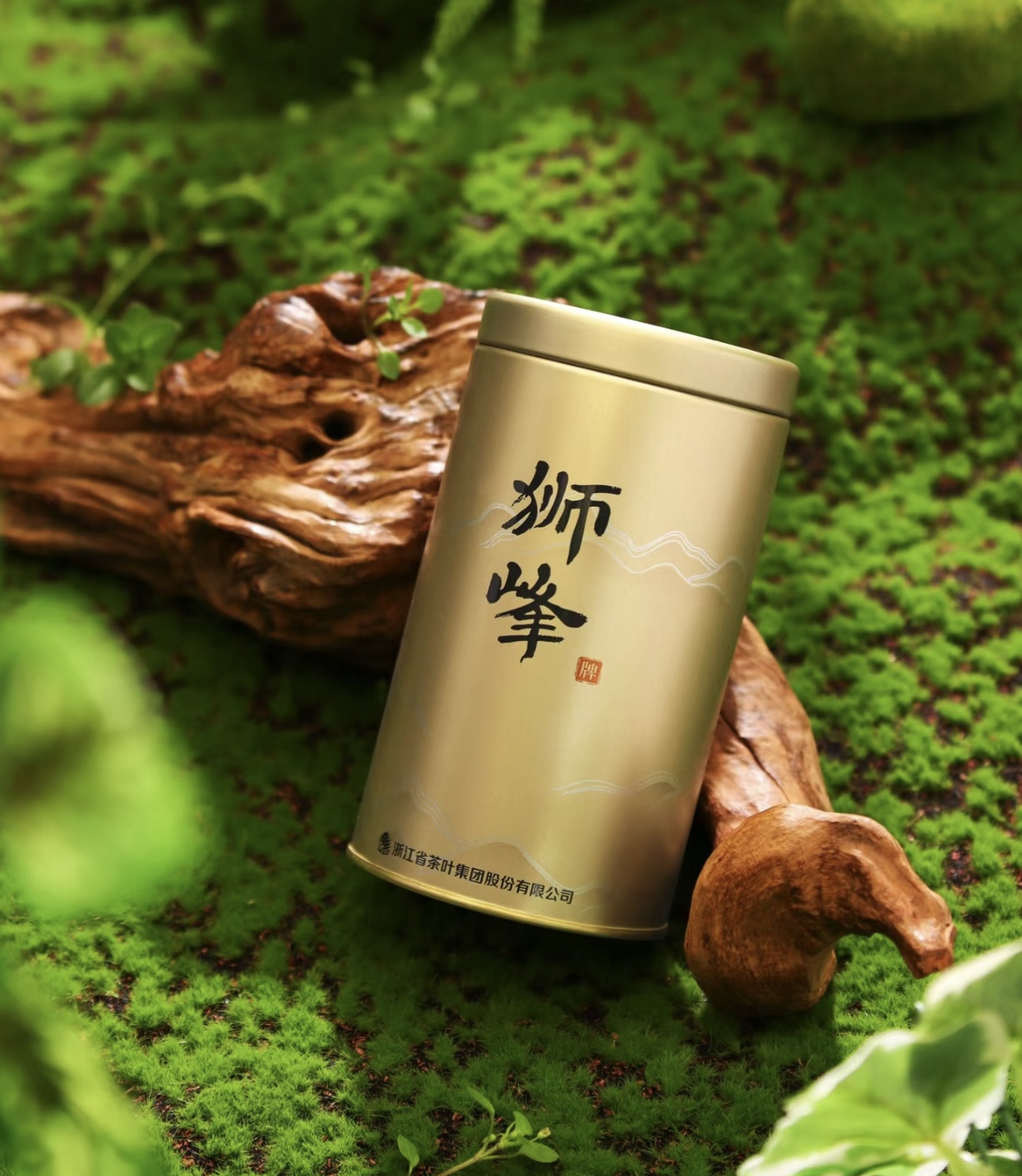 明前龙井，茶中瑰宝，此刻正逢采茶时。那一 配图1
