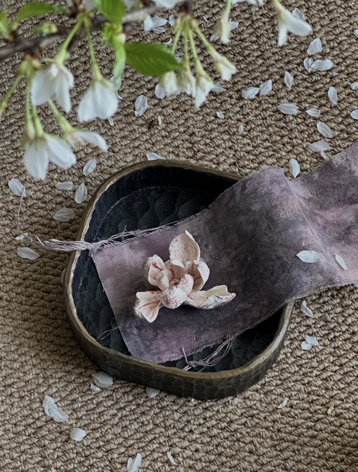 『茶席』-樱花🌸 早樱已经开始落下花瓣啦 配图1