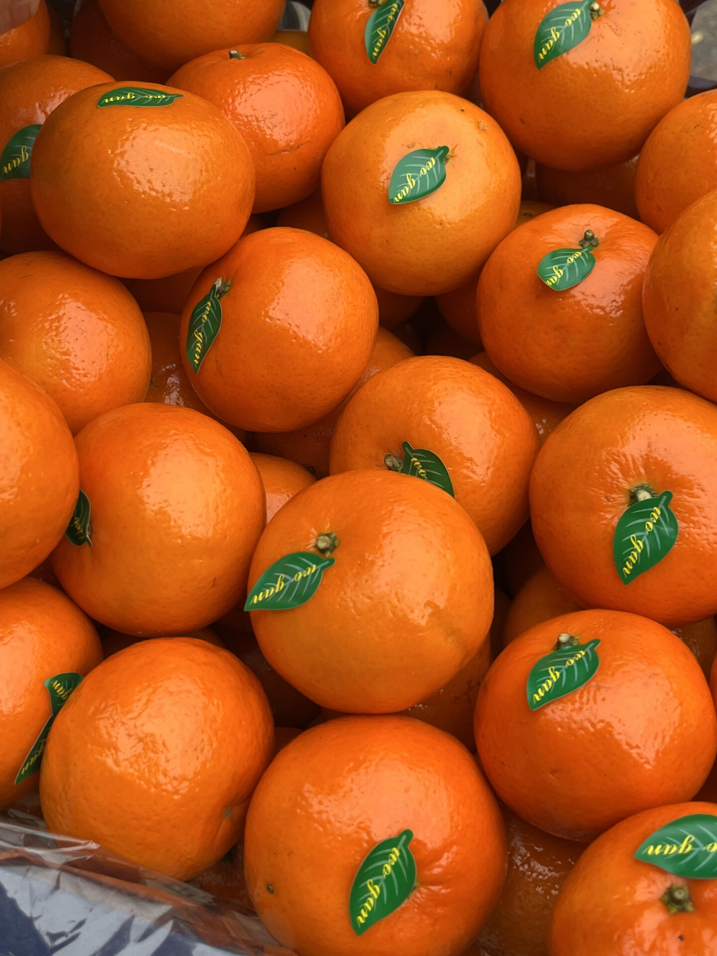 🍊爆汁水果，又是一年沃柑季💚 太水灵了！ 配图2
