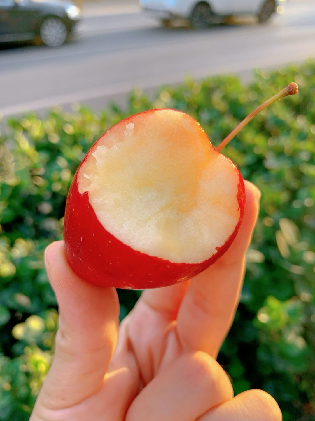 🍎放在手心里，大小刚刚好 适合给👶小朋友 配图2