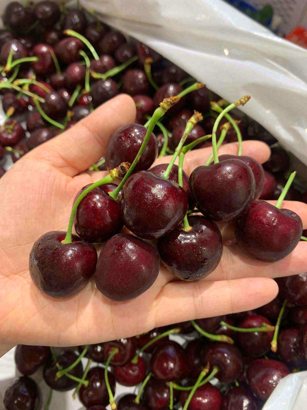 🍒在枝头冬眠了700小时的它⏰ 阳光雨露 配图1