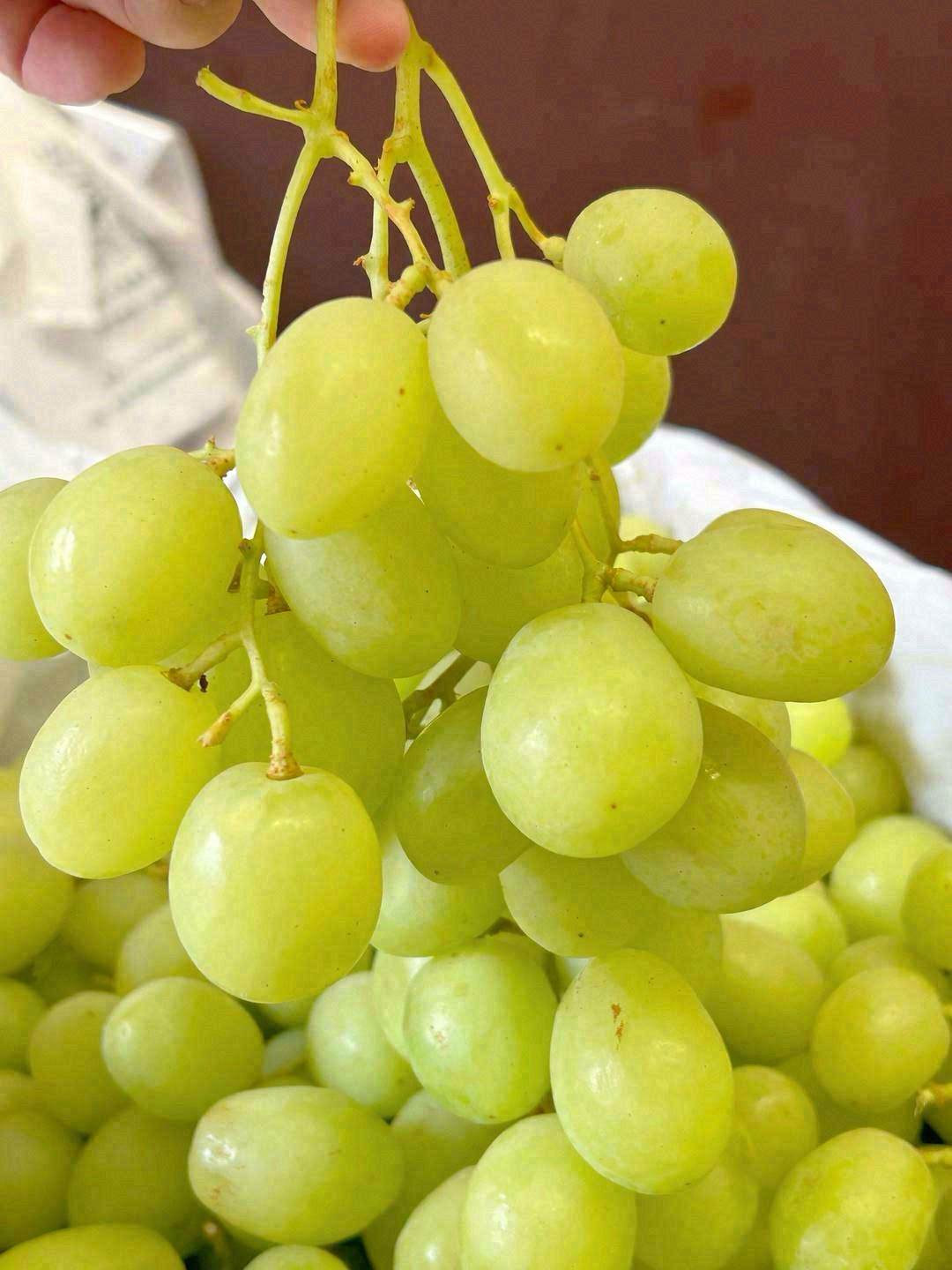 这串甜地球，拿在手上晶莹剔透🍇，入口“B 配图1