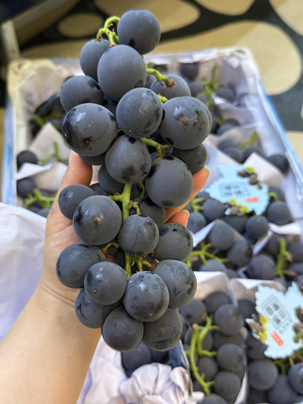 紫水晶般的果串沉甸甸挂满枝🍇，轻轻一捏就 配图2