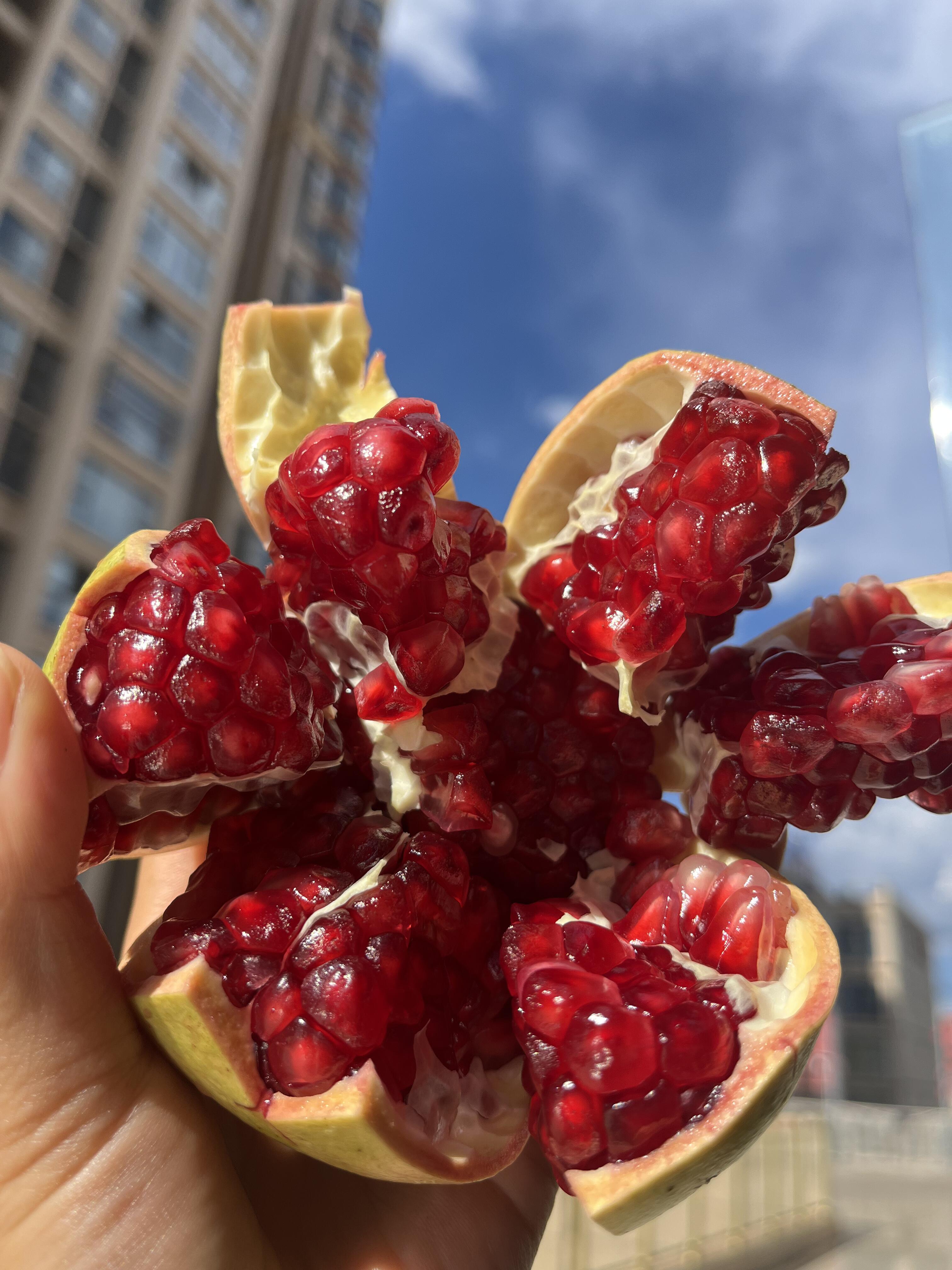 藏在秋天🍂里的甜蜜💕 突尼斯软籽石榴❤️ 配图3