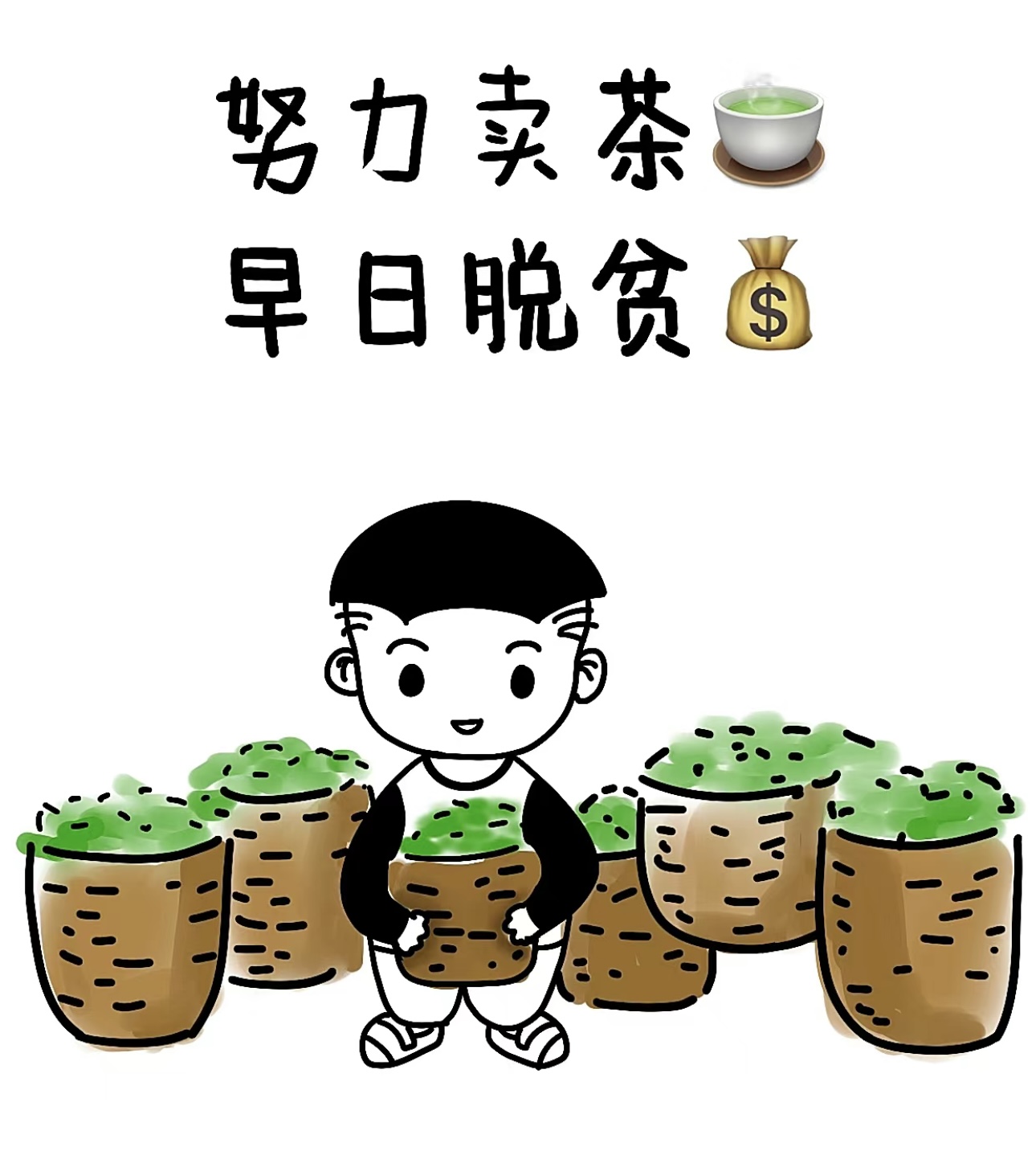 茶香袅袅，岁月悠悠。我们的茶叶，采自高山 配图3