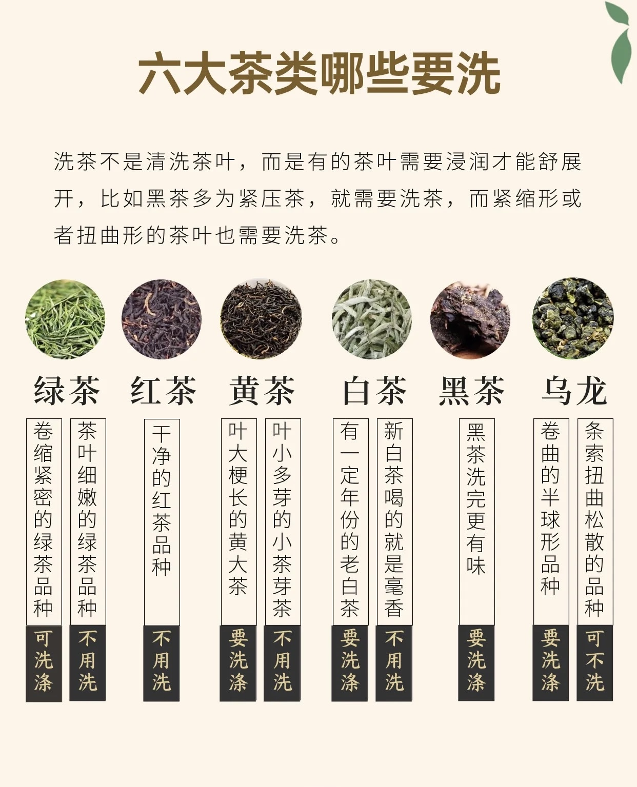 六大茶类工艺说明，到冲泡详解，到代表茶的 配图3