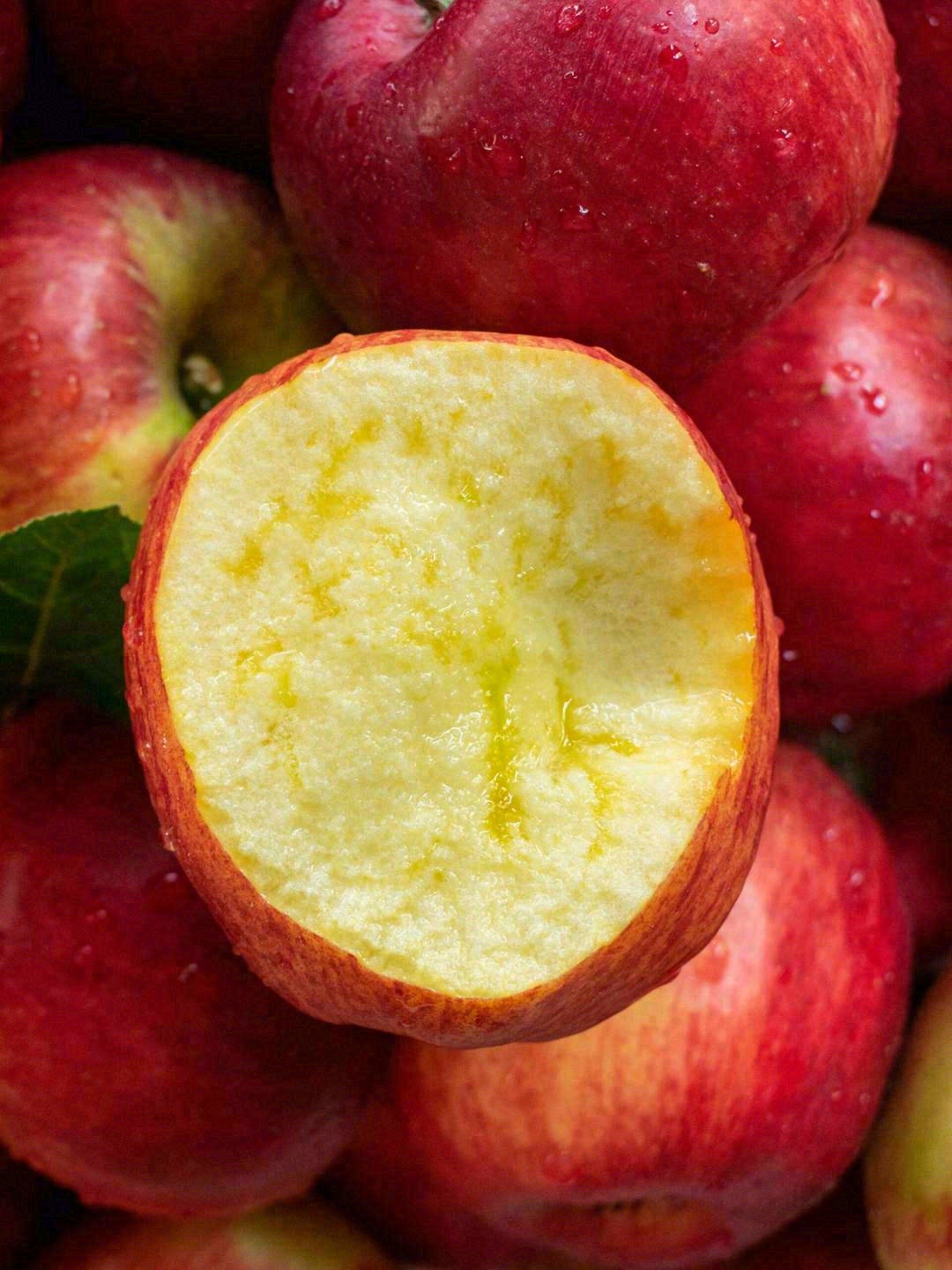 推荐一下：云南昭通野生丑苹果🍎 丑的理直 配图2