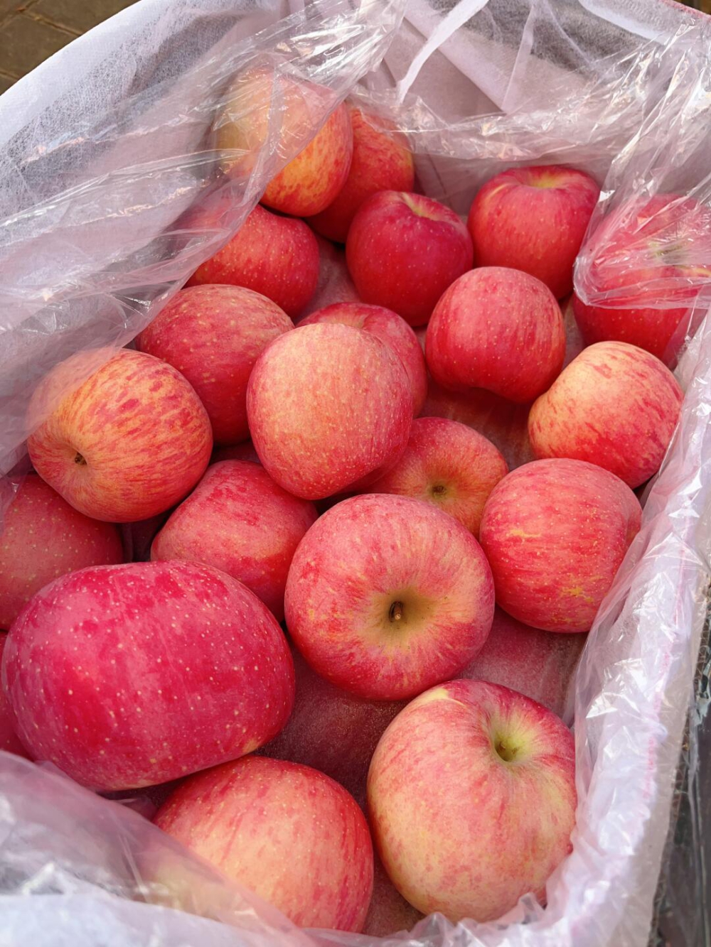 洛川苹果🍎 一口下去酥甜不瓷实～满口苹果 配图3