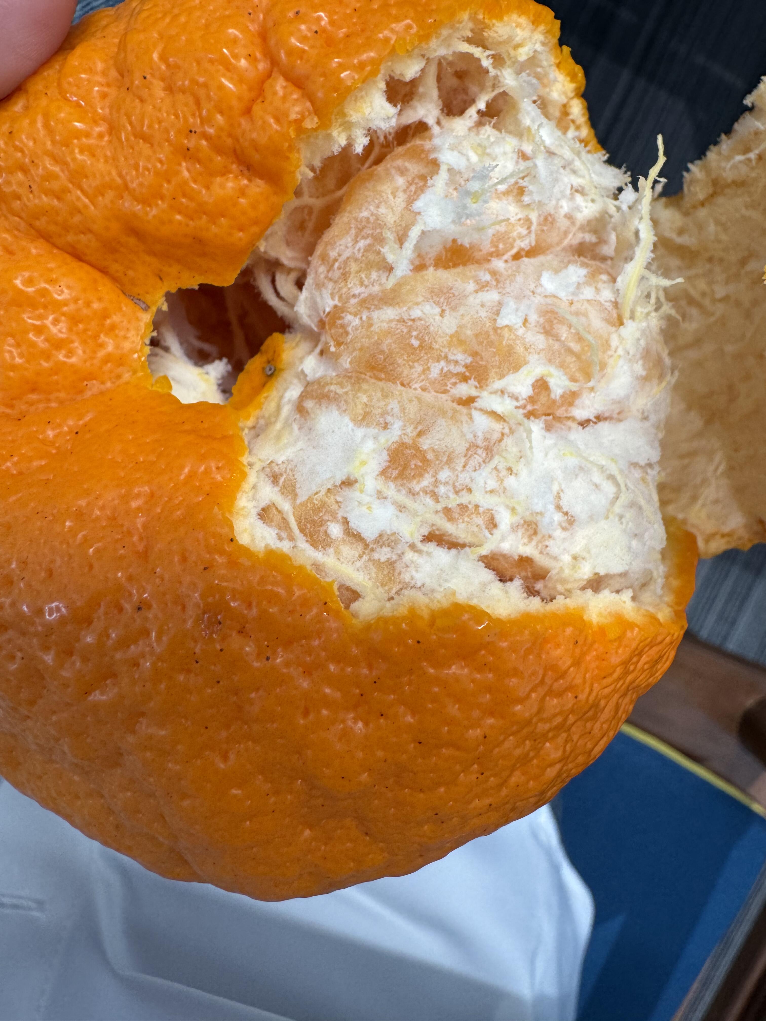 🍊 不知火丑橘越丑越甜！ 果皮粗糙像丑八 配图1