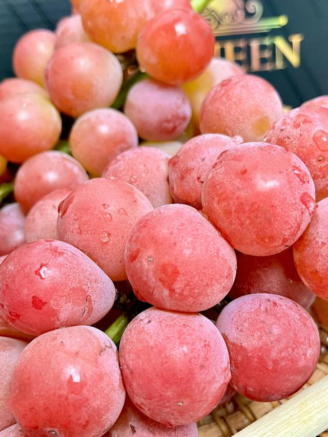 🍇 妮娜皇后📣📣 ✨盛夏的妮娜皇后🍇🍇脆 配图1