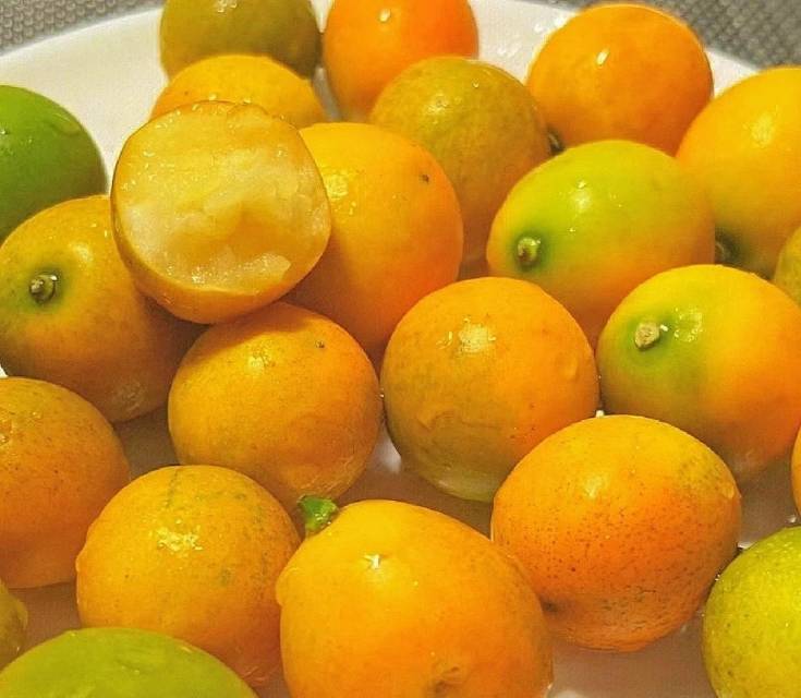 融安滑皮金桔🍊天然洗肺机 每一颗是自然成 配图3