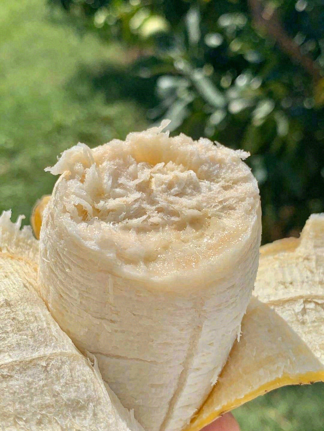 🍌鹅黄色的肉质紧实黏糯，就像在吃棉花糖一 配图1