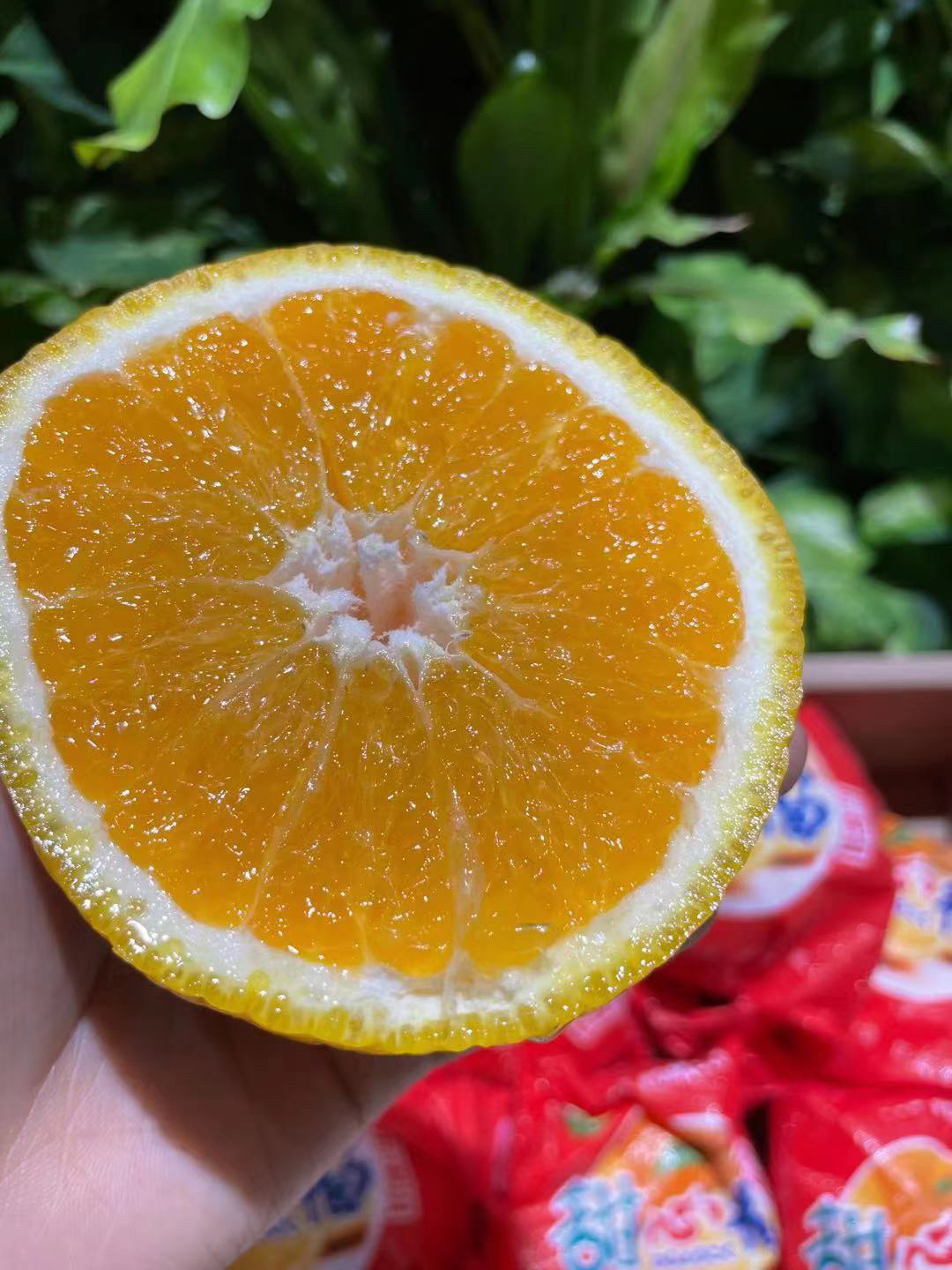 🍊这个甜心柚，清甜爽口多汁 别看外表长的 配图2