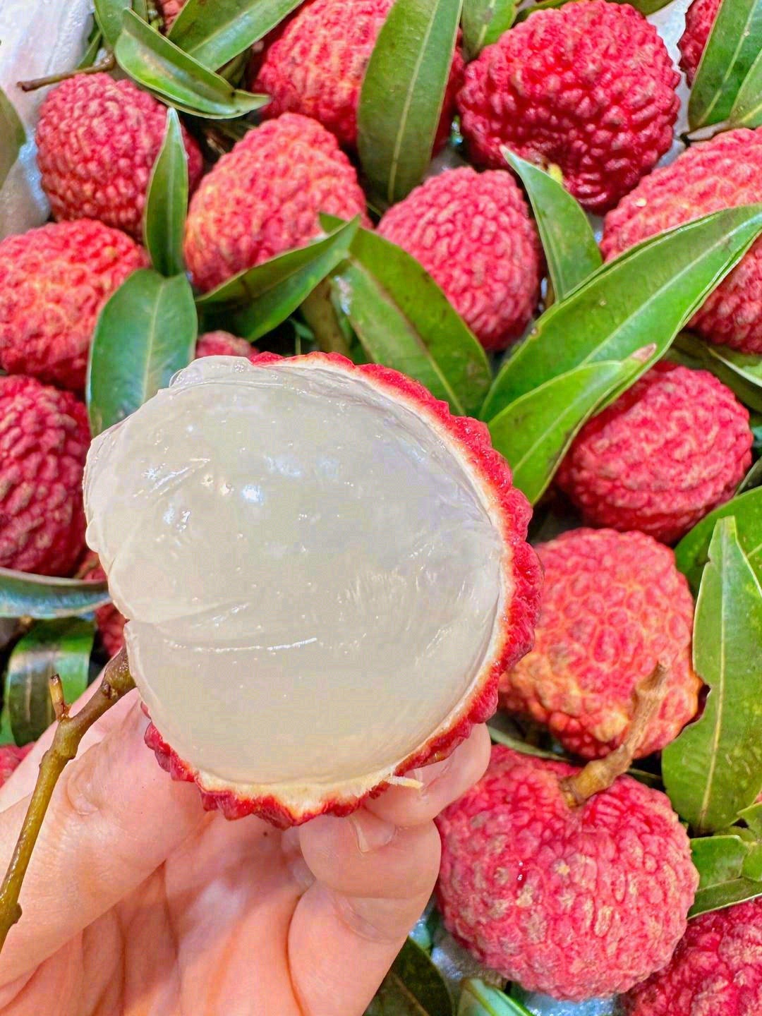 🍃荔枝中的爱马仕——荔枝王 大如鸡蛋🐣， 配图2