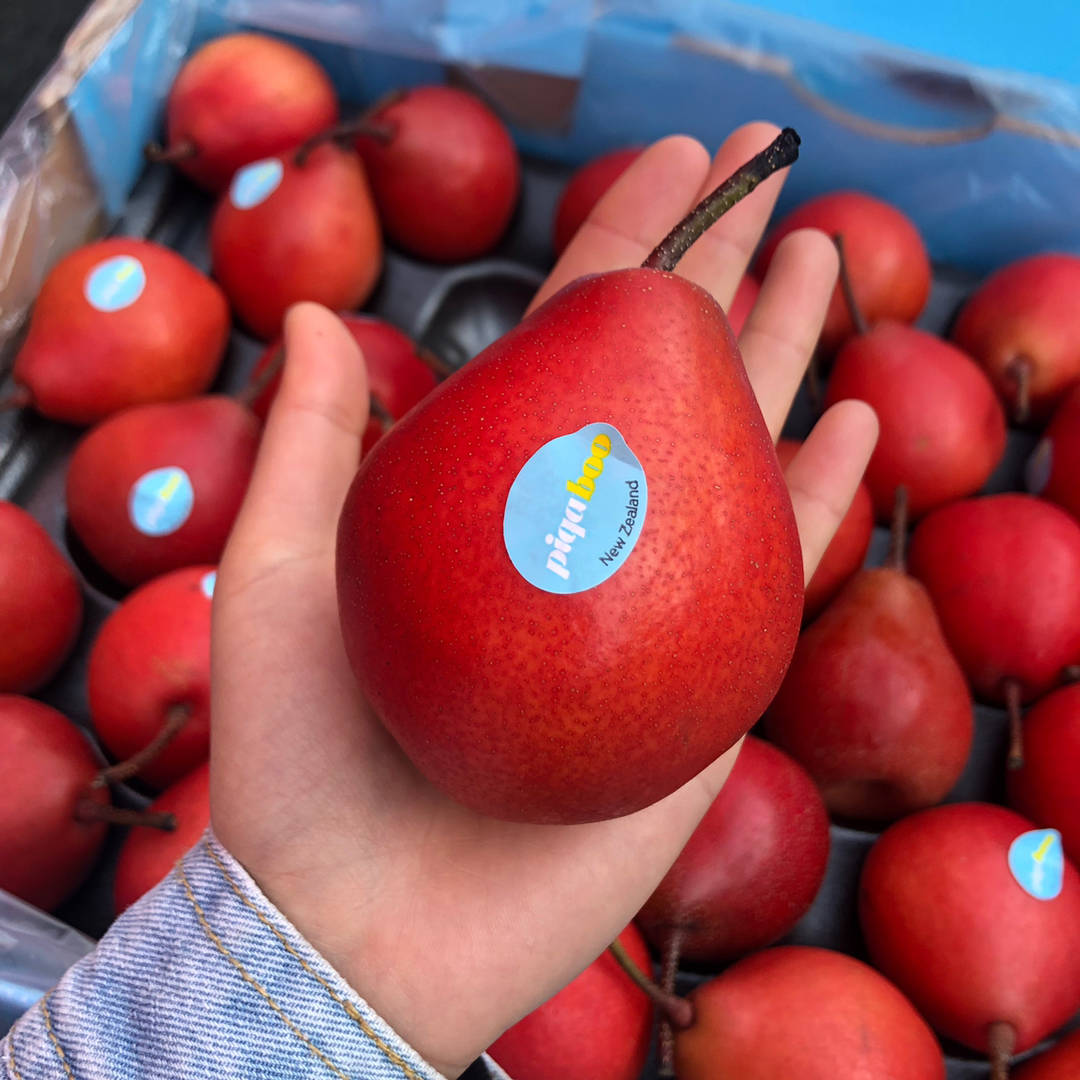 新西兰红啤梨！🍐表皮红色带斑点，内部果肉 配图1