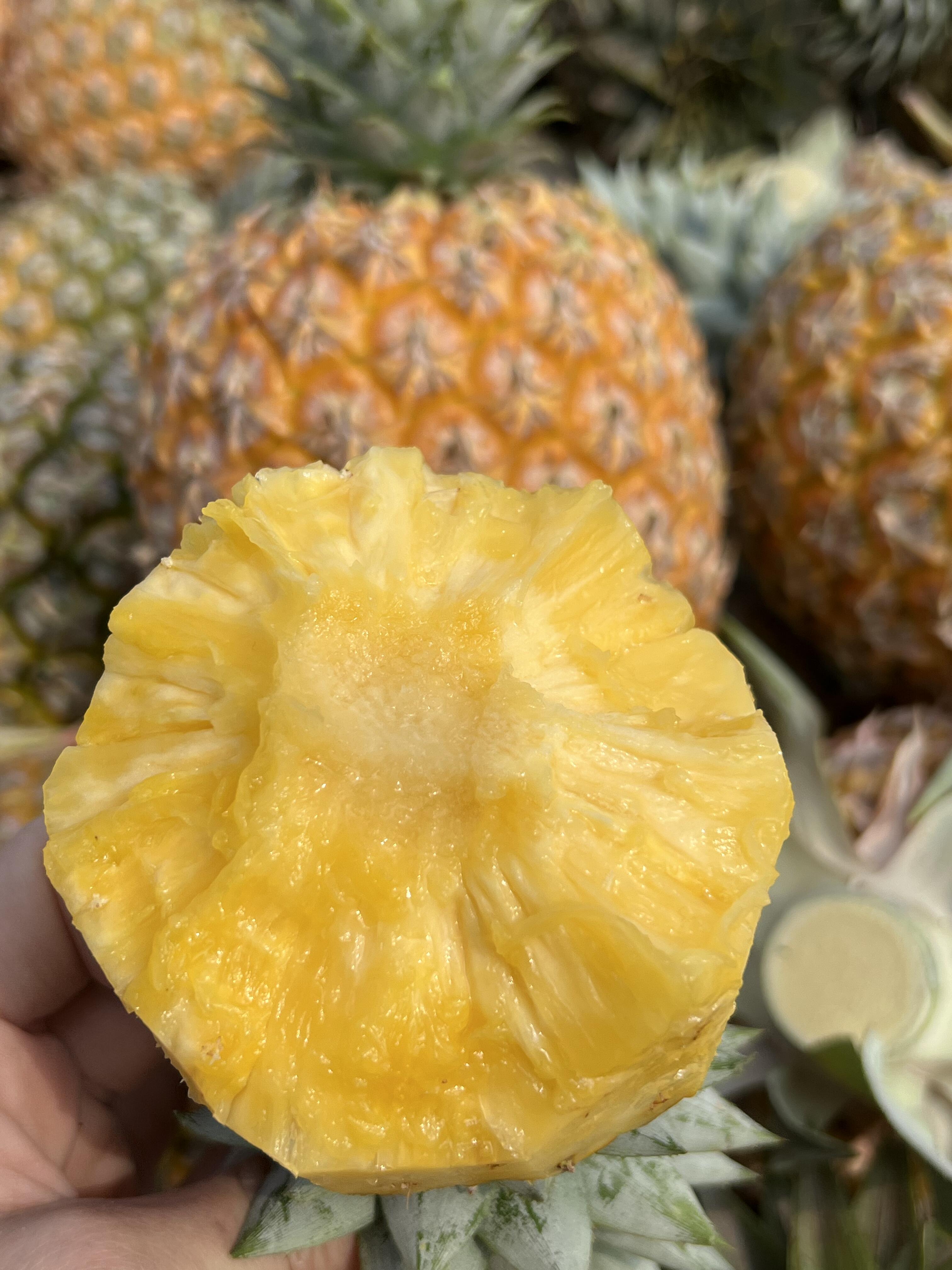 你可能吃过各种凤梨，但芒果味的吃过吗?  配图1