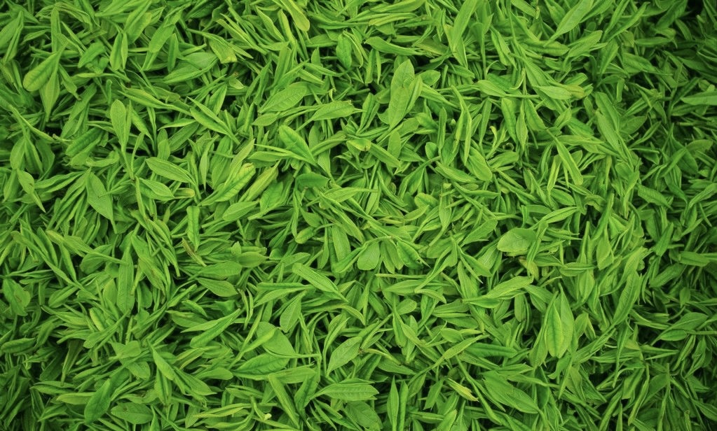 喝茶是热爱 卖茶是生活 万物皆可爱 茶叶 配图2