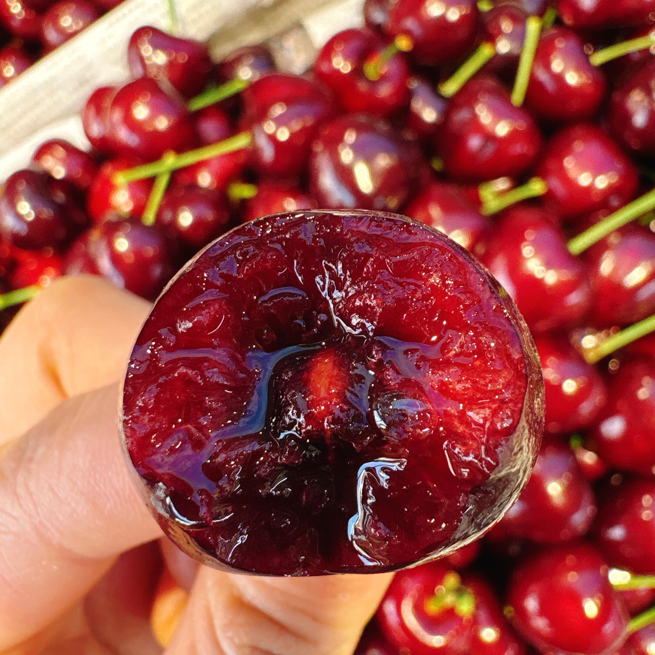 🍒一年一季樱桃甜，终于等到你！ 颗颗饱满 配图2