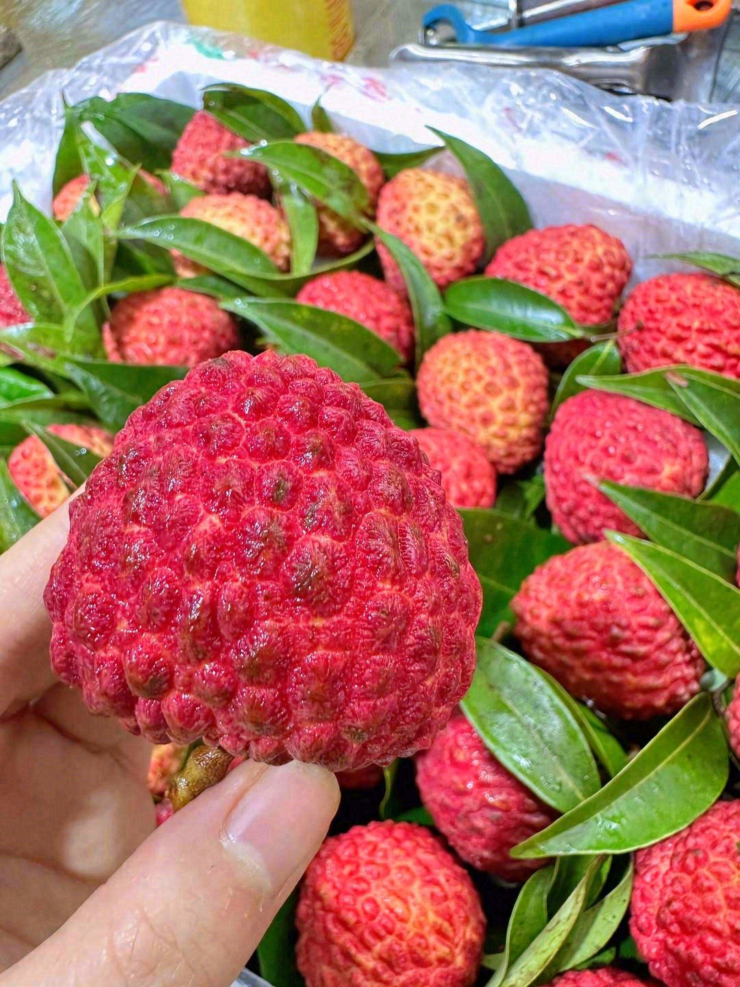 🍃荔枝中的爱马仕——荔枝王 大如鸡蛋🐣， 配图1