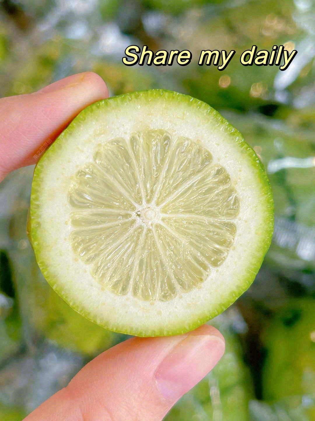 🍋切开后果肉呈淡淡的青黄色，香气四溢🌿汁 配图2