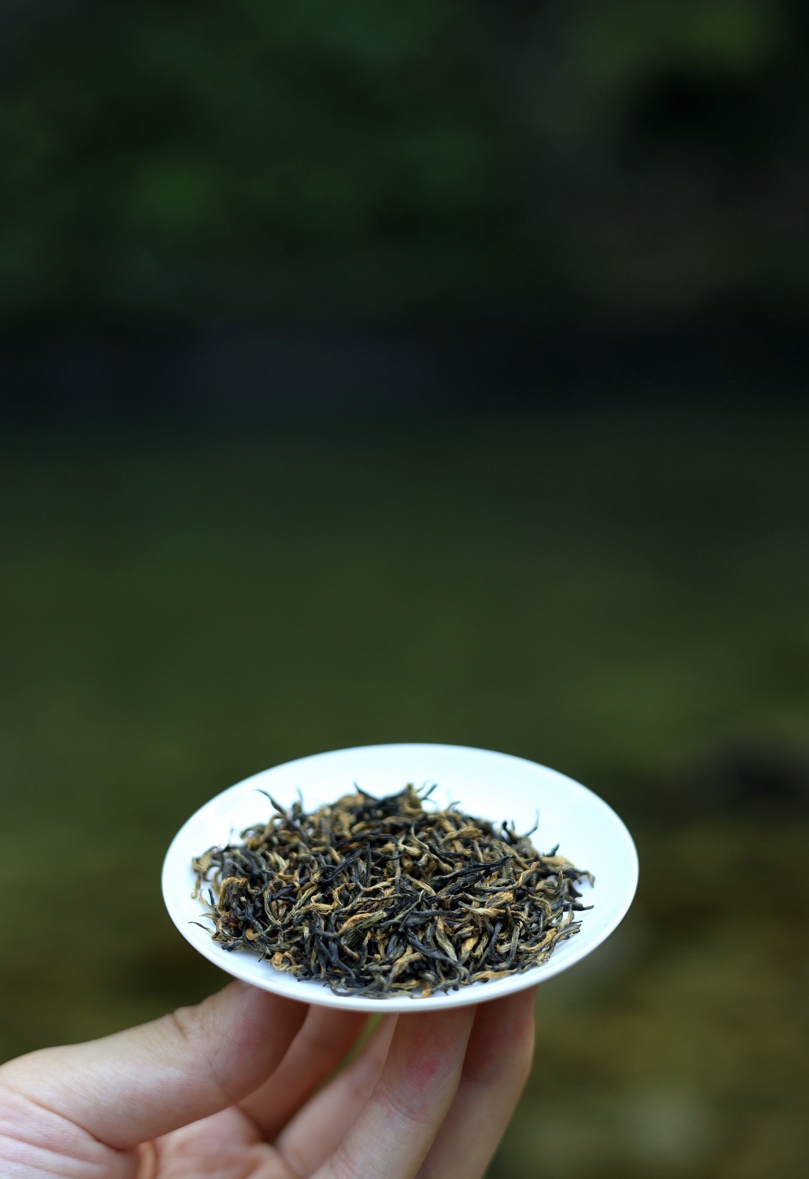 春风回暖，最宜一杯工夫红茶。 慢工夫，出 配图1