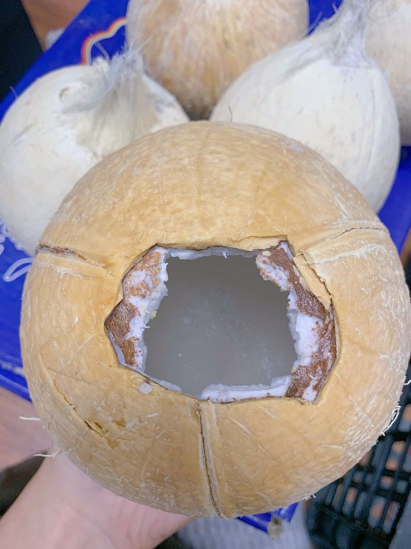 🥥玲珑坚硬的果型，椰汁清澈、甘甜清香，那 配图1