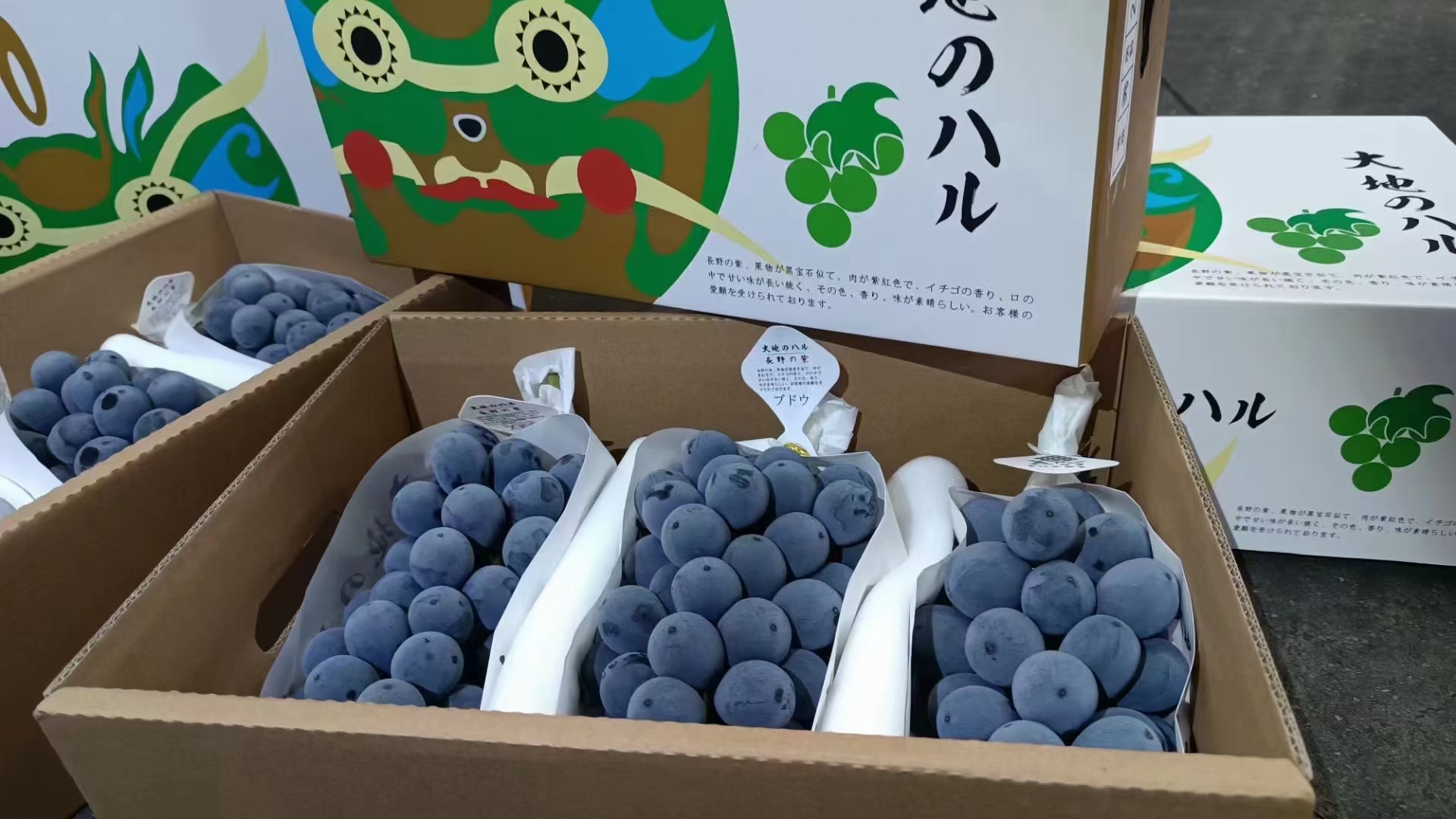 【🍇大地长野紫黑提】 最高档次玫瑰黑提！ 配图2