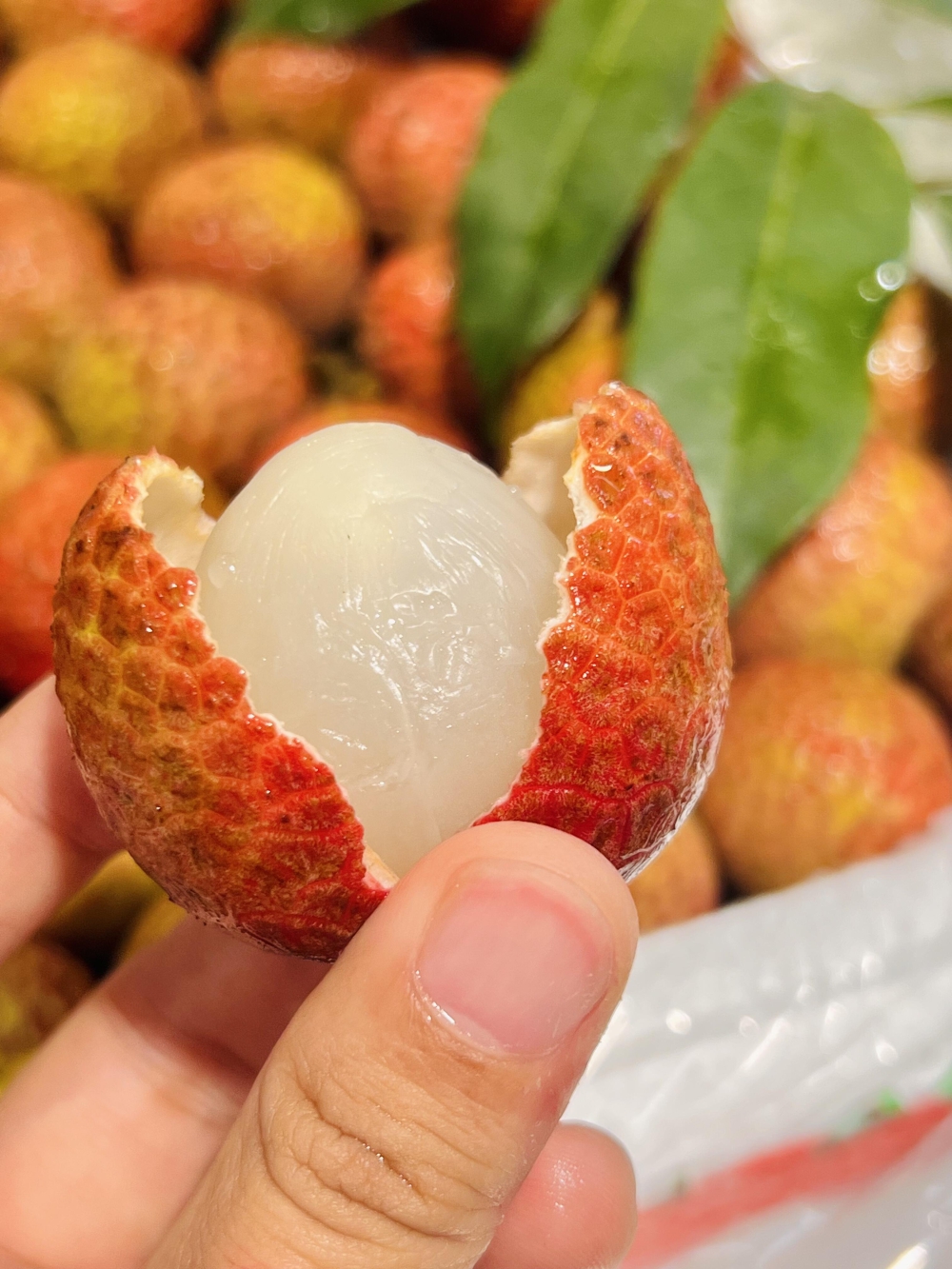 救命！水果脑袋狂喜💥 西瓜🍉裂出第一口夏 配图2