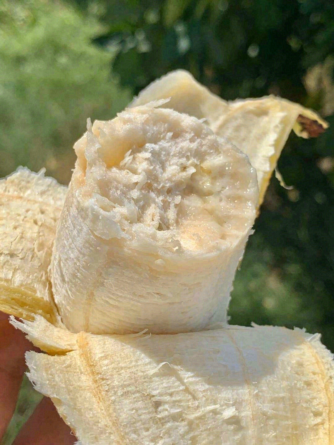 🍌鹅黄色的肉质紧实黏糯，就像在吃棉花糖一 配图2