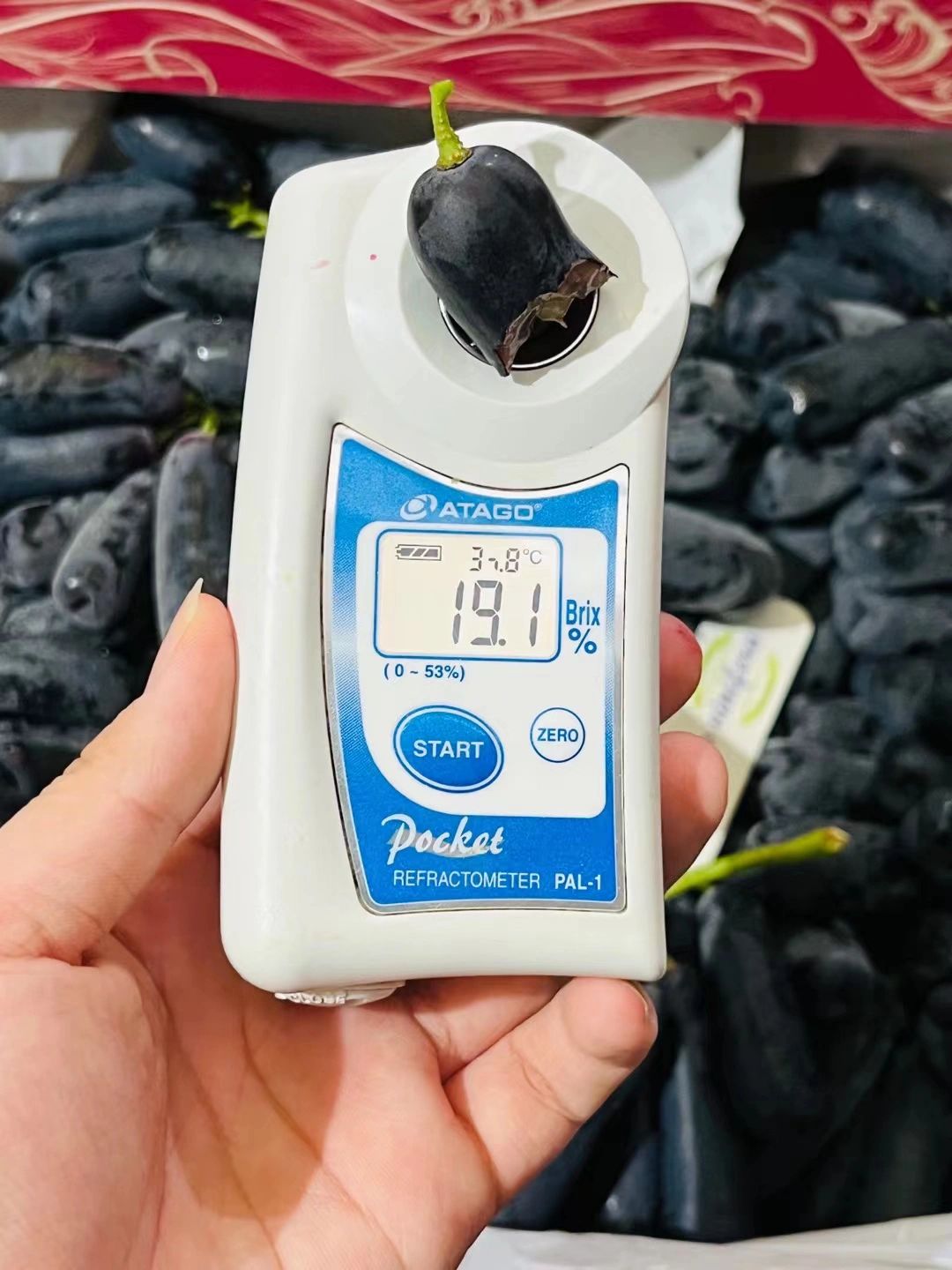 蓝宝石金手指黑提 稀有品种✅ 品种Swe 配图2