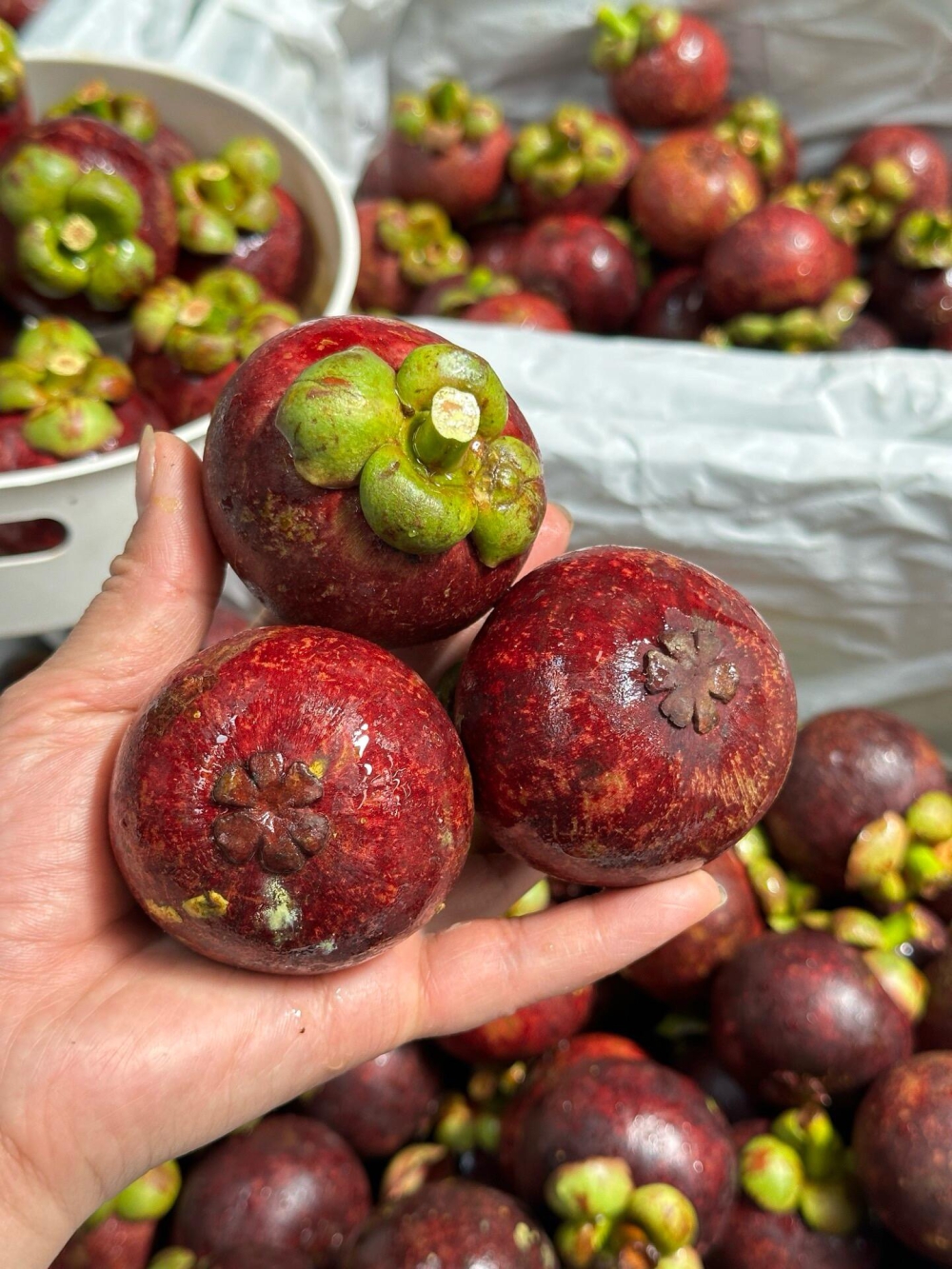 【水果摊的温柔哲学】 生活就像挑选水果，🍎要轻轻触摸、细细品 配图5